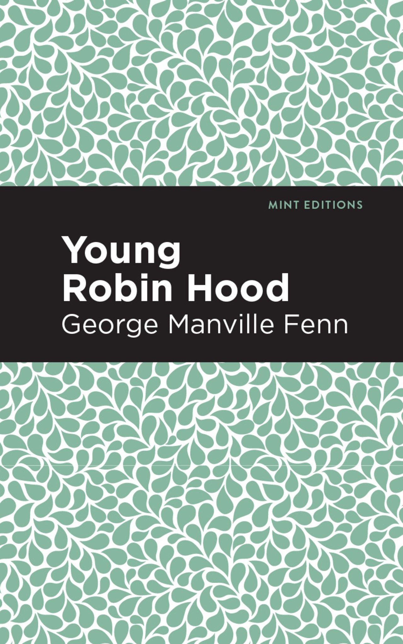 Cover image for Young Robin Hood ISBN 9798888972571