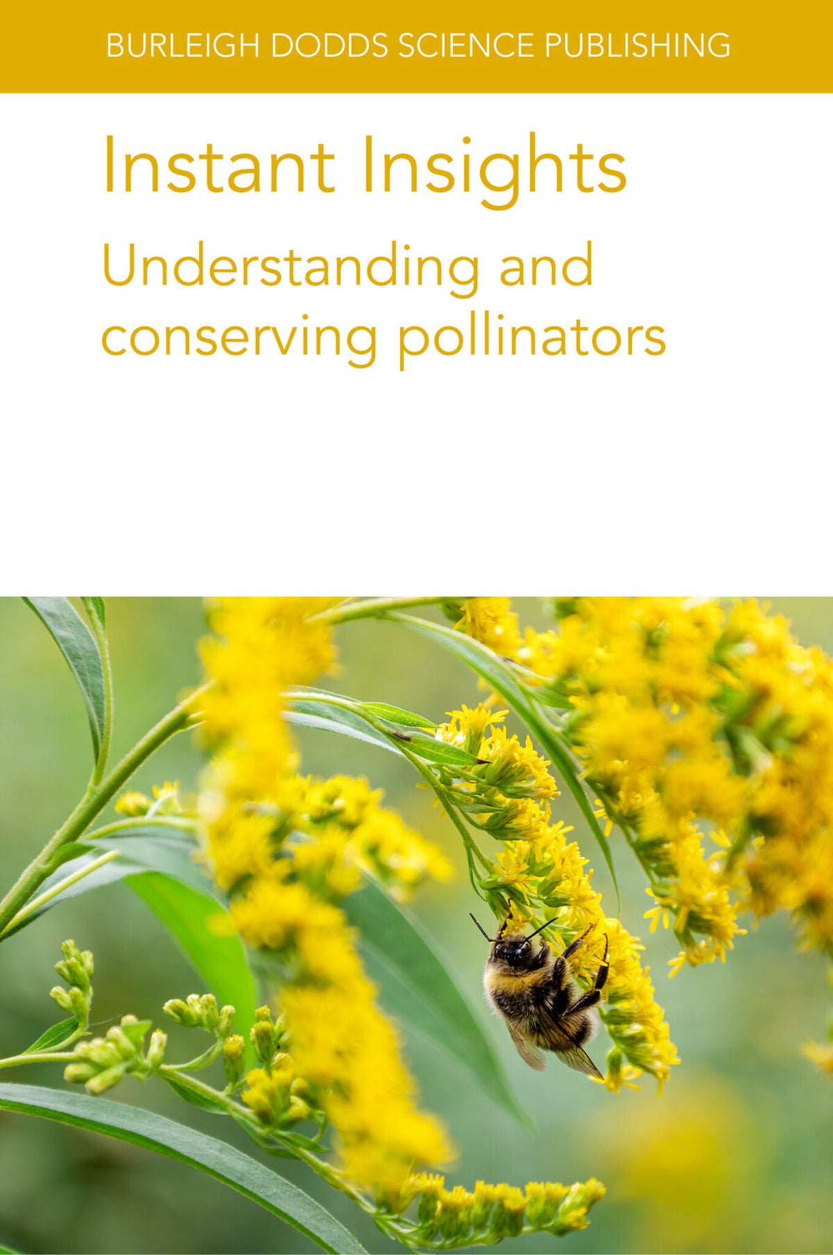 Instant Insights: Understanding and conserving pollinators