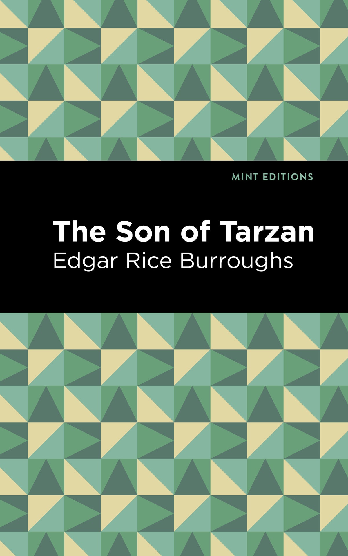 Cover image for The Son of Tarzan ISBN 9781513264509