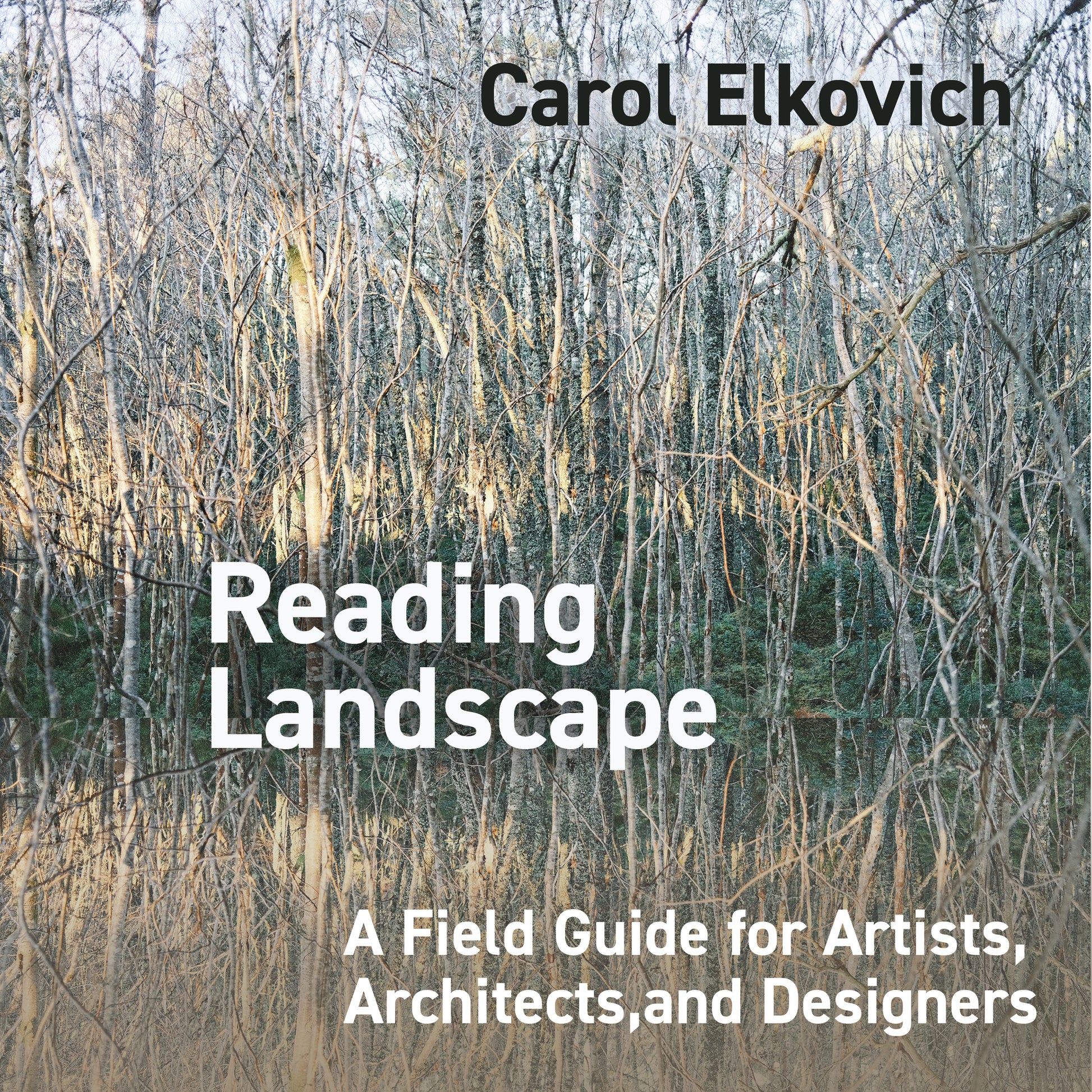 Reading Landscape