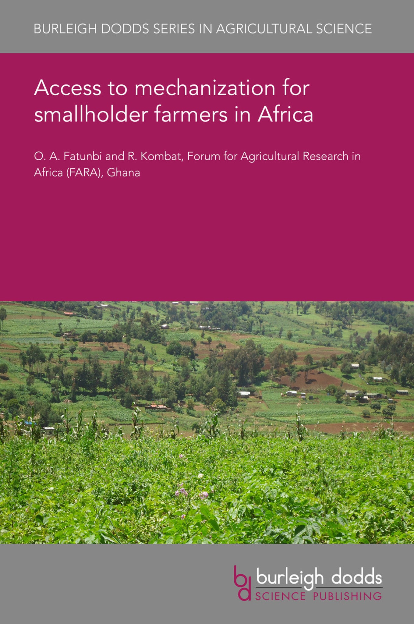 Access to mechanization for smallholder farmers in Africa