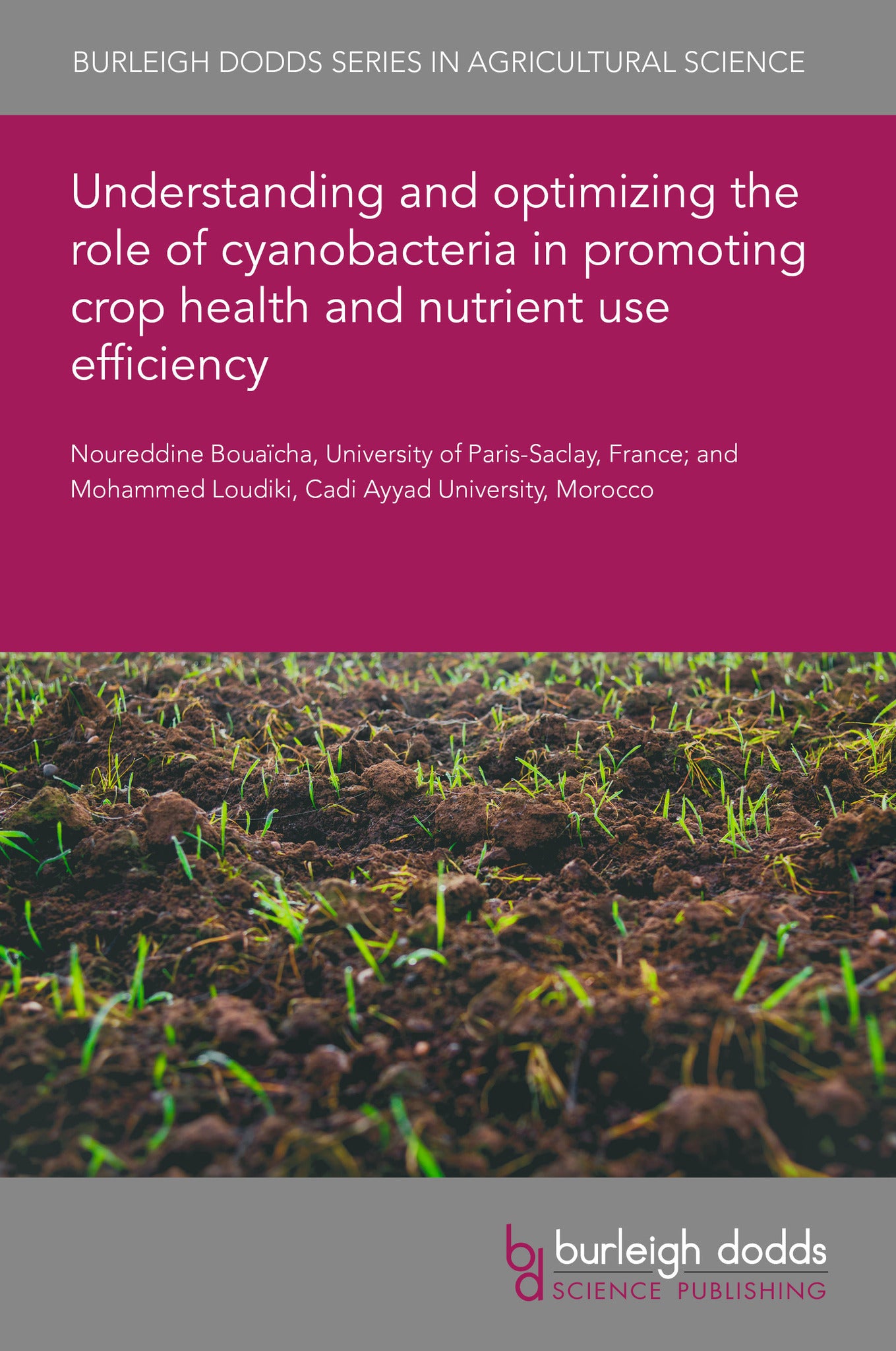 Understanding and optimizing the role of cyanobacteria in promoting crop health and nutrient use efficiency