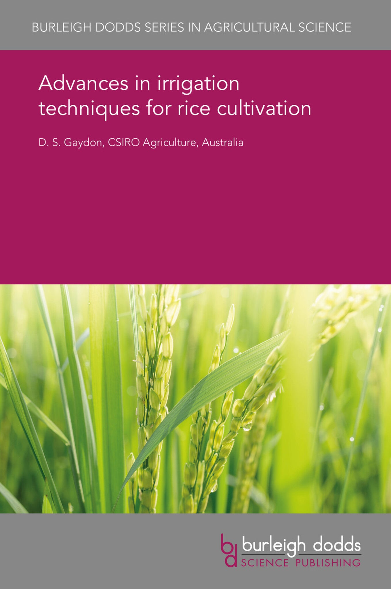 Advances in irrigation techniques for rice cultivation
