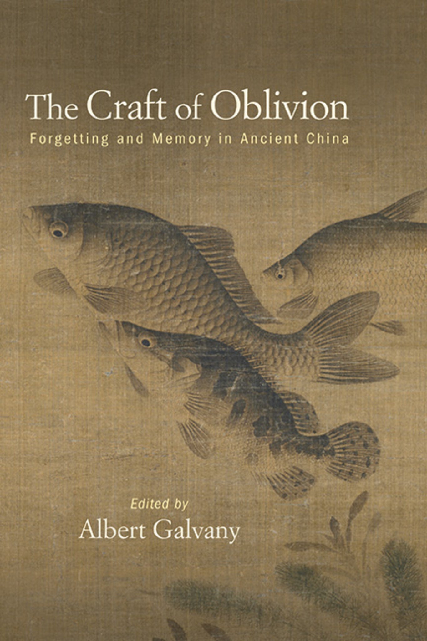 Cover image for The Craft of Oblivion ISBN 9781438493763