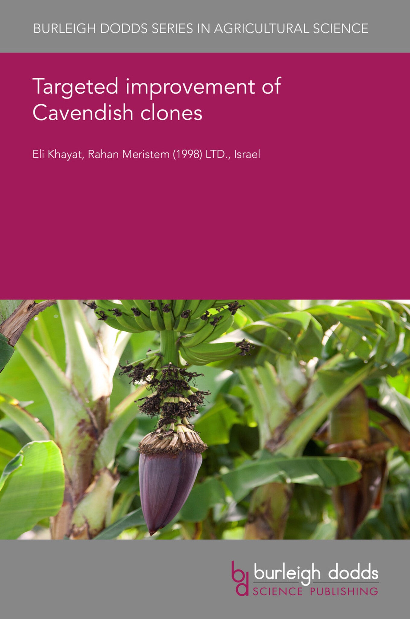 Targeted improvement of Cavendish clones