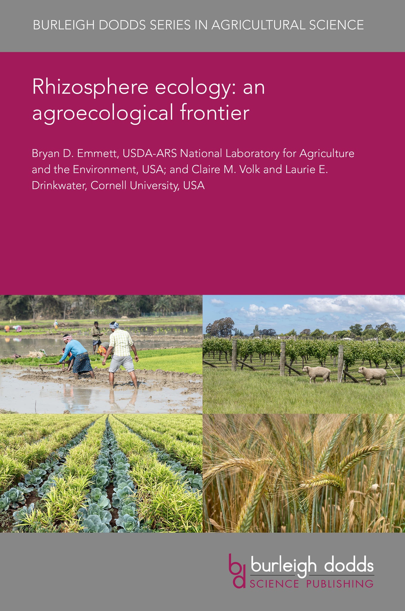 Cover image for Rhizosphere ecology: an agroecological frontier ISBN 9781835459140