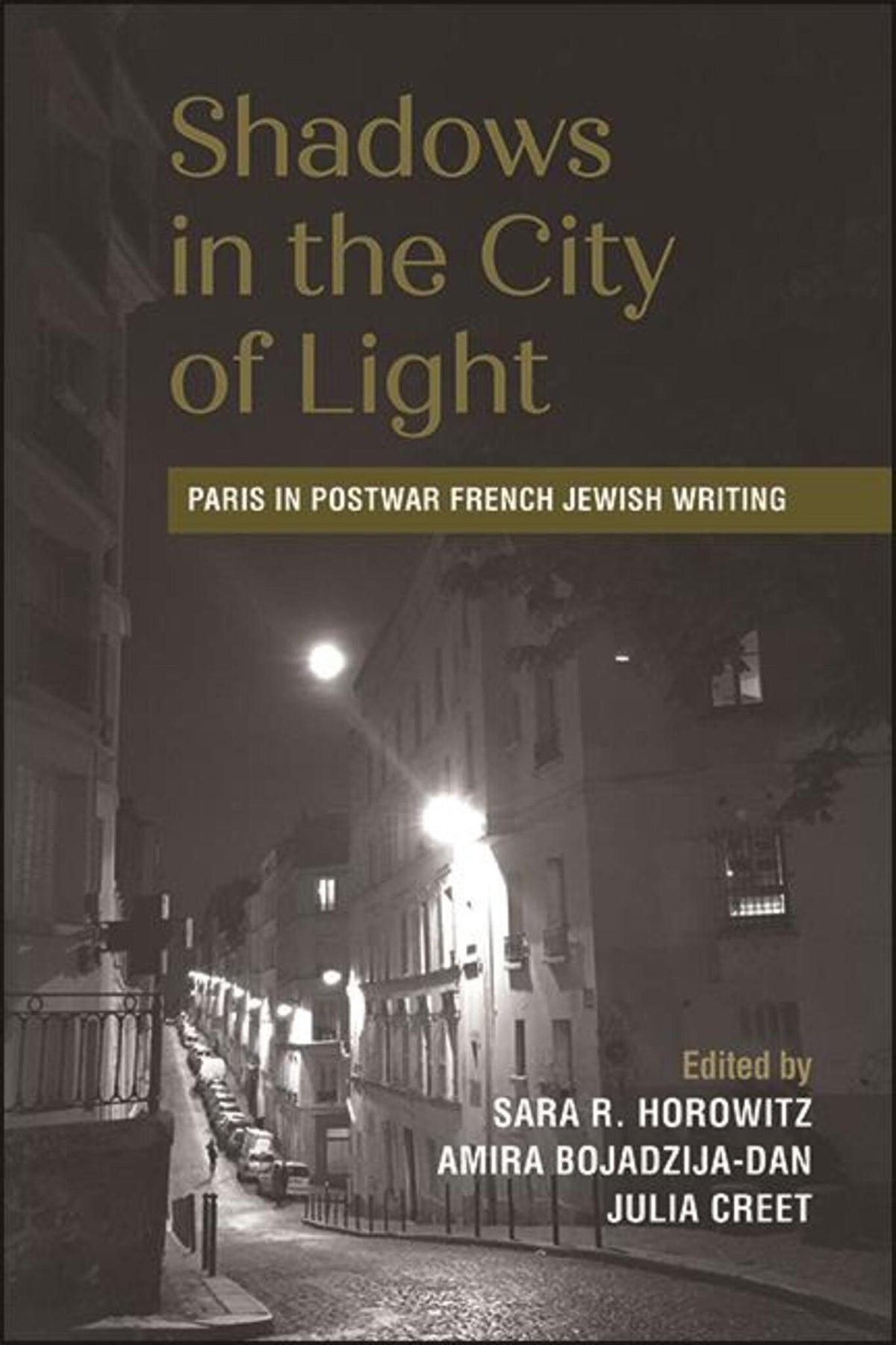 Cover image for Shadows in the City of Light ISBN 9781438481746