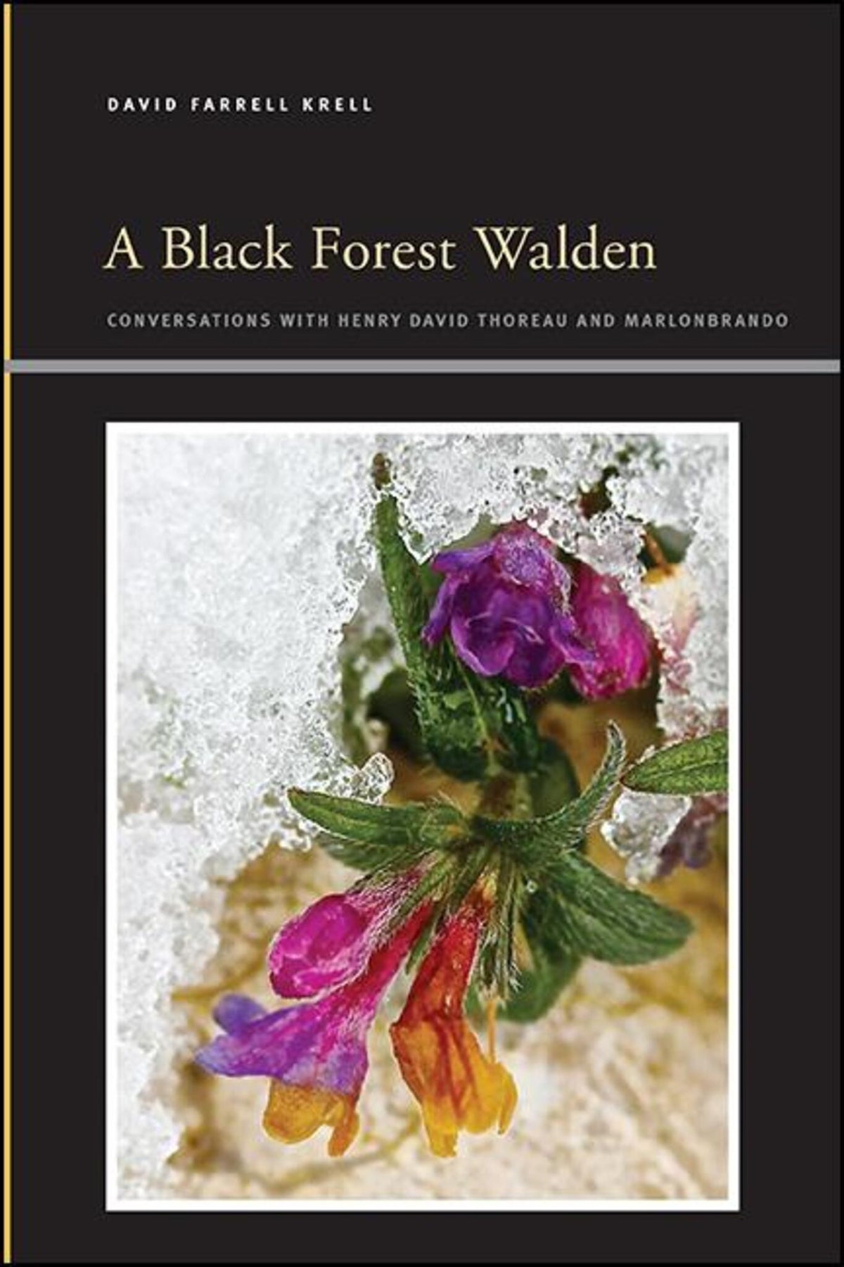 Cover image for A Black Forest Walden ISBN 9781438488493
