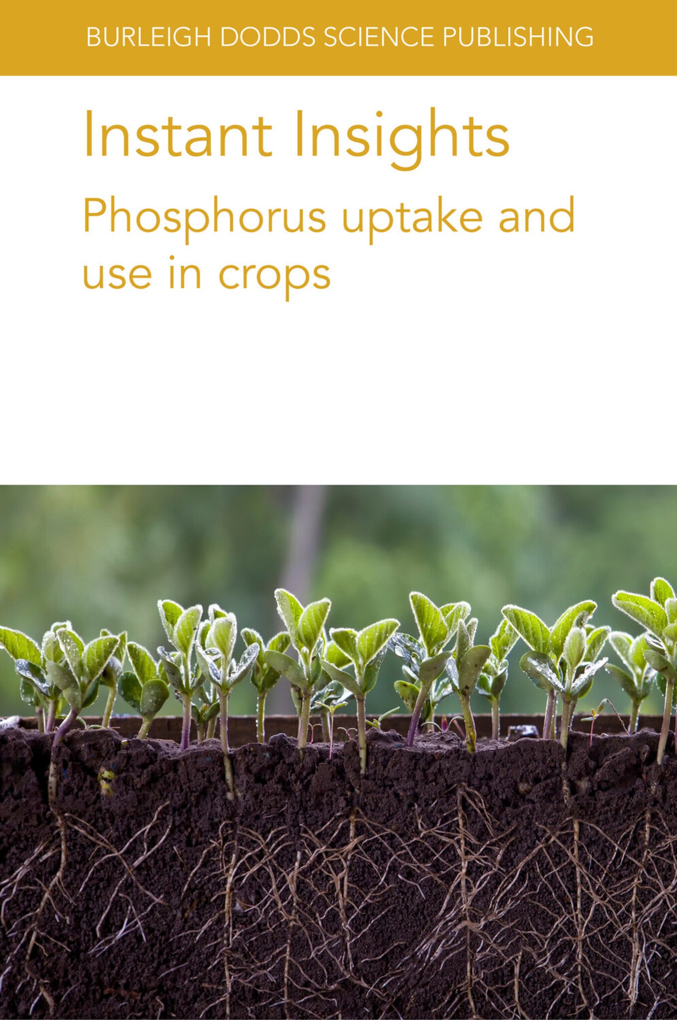 Instant Insights: Phosphorus uptake and use in crops