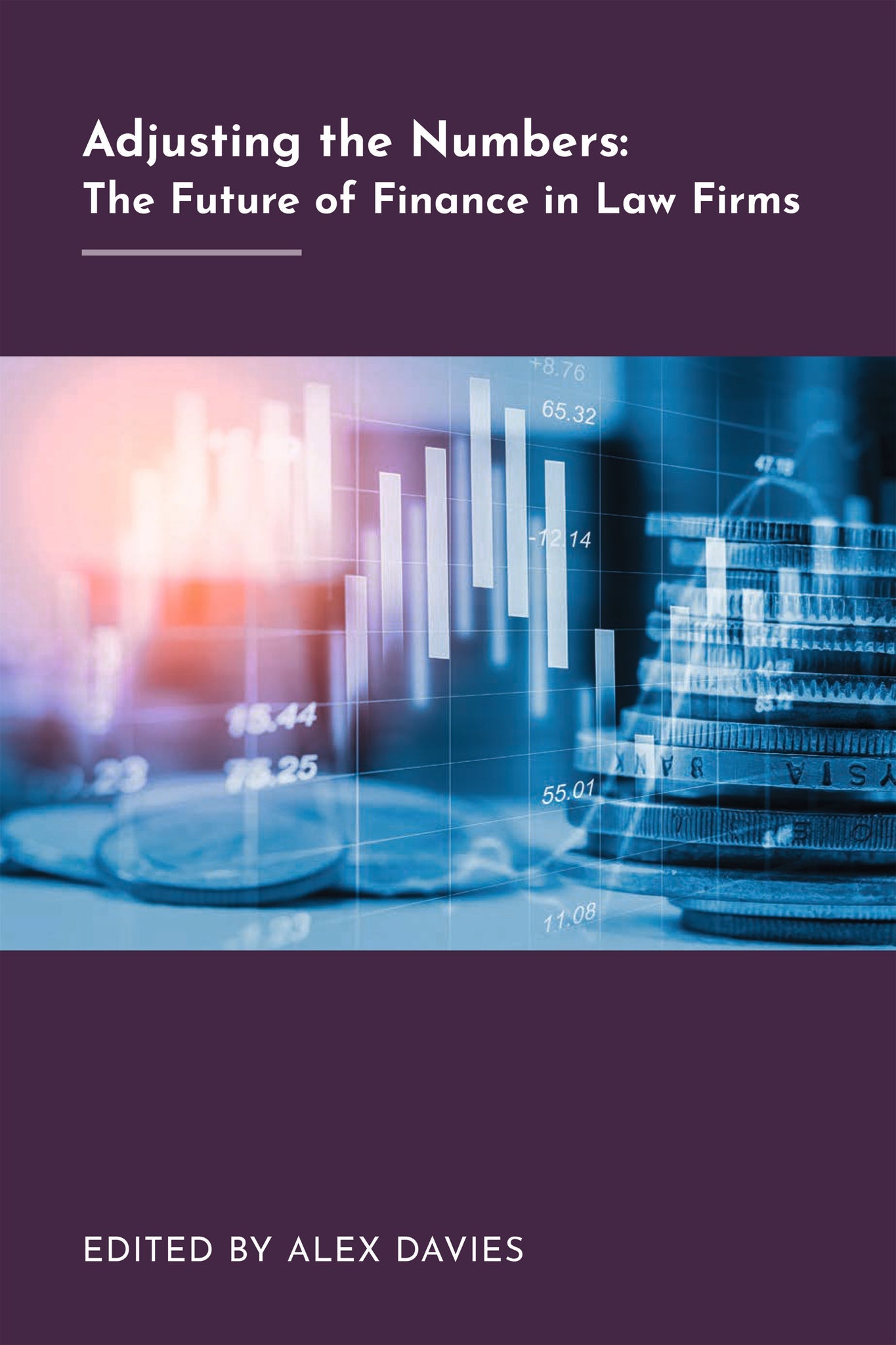 Cover image for Adjusting the Numbers ISBN 9781783584048