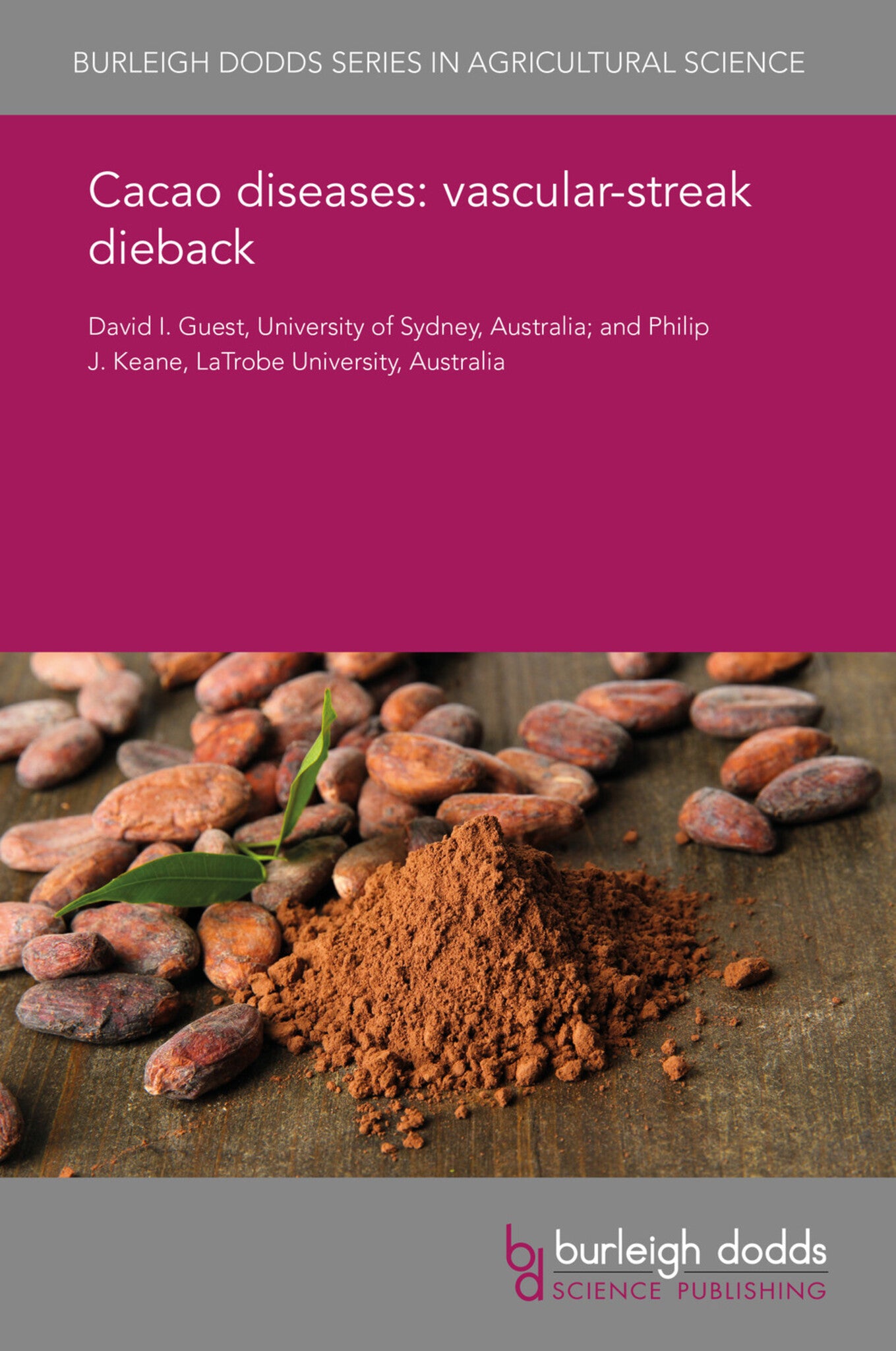 Cacao diseases: vascular-streak dieback