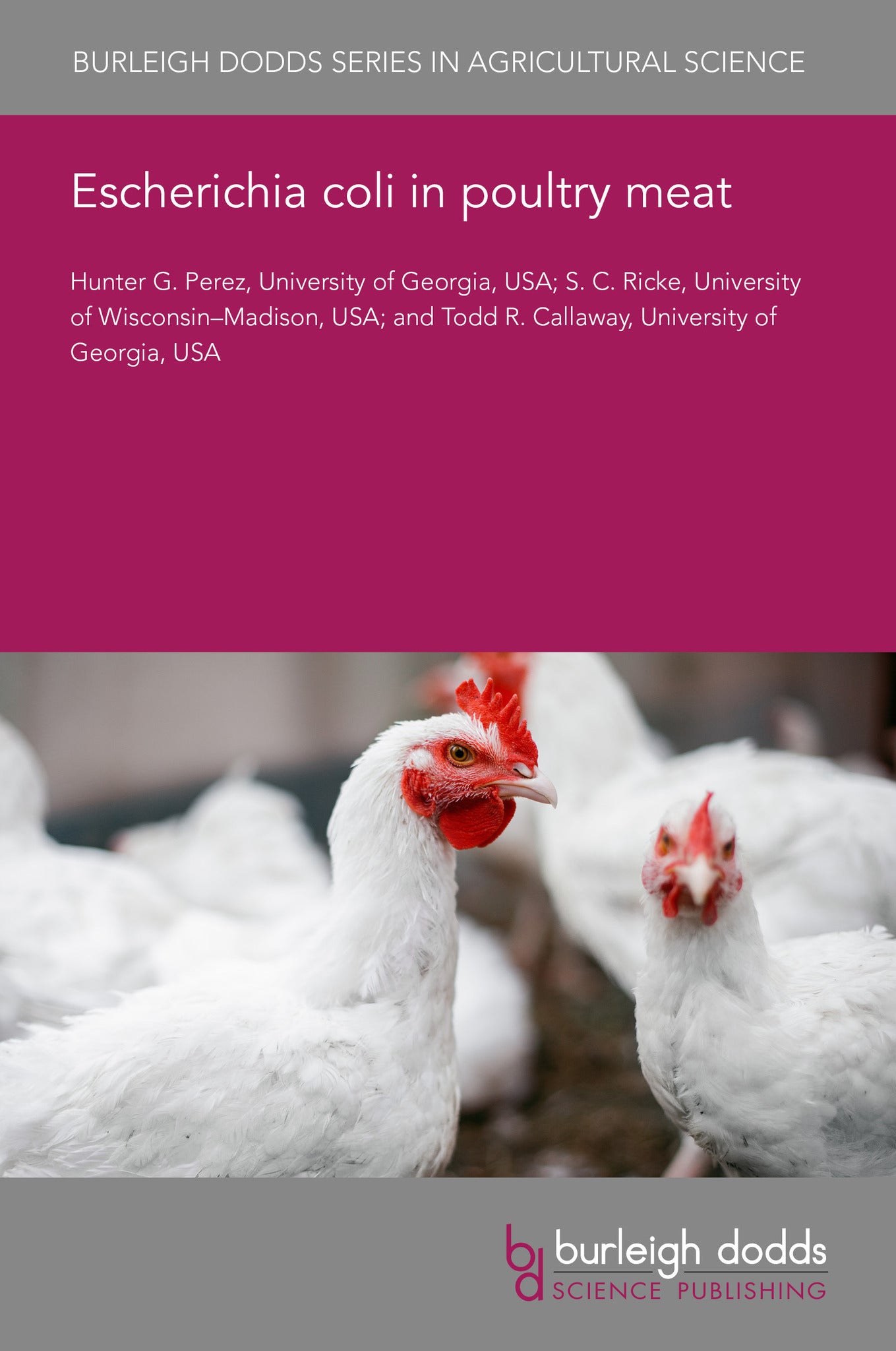 Escherichia coli in poultry meat