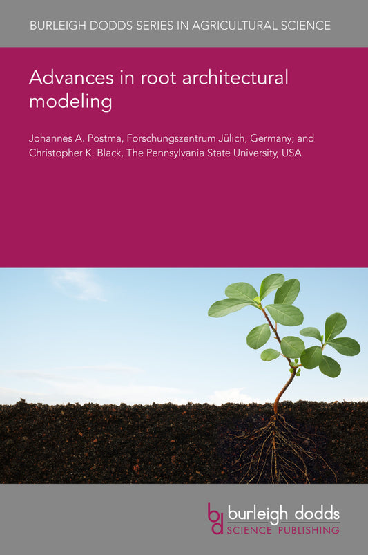 Advances in root architectural modeling