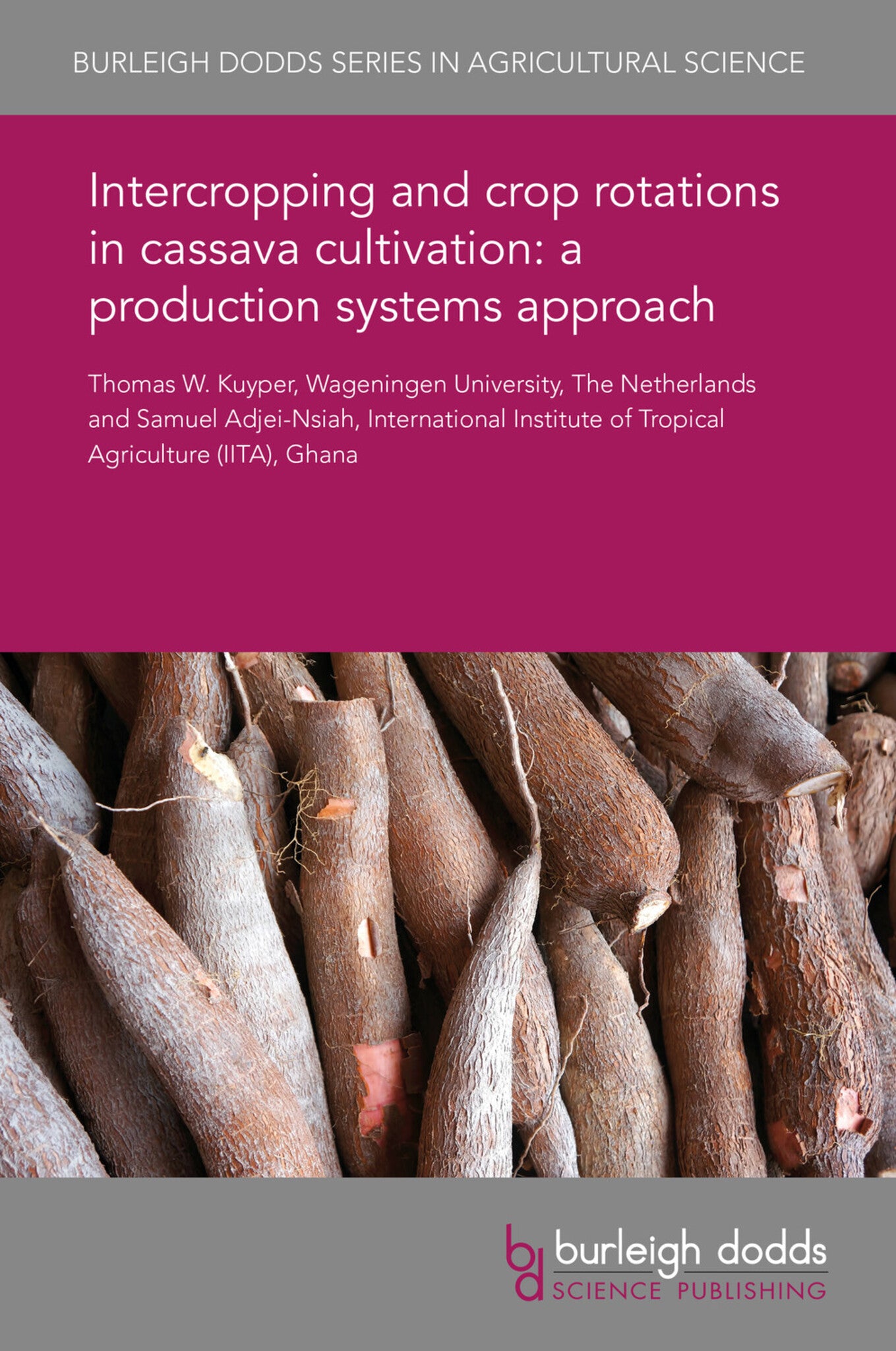 Intercropping and crop rotations in cassava cultivation: a production systems approach