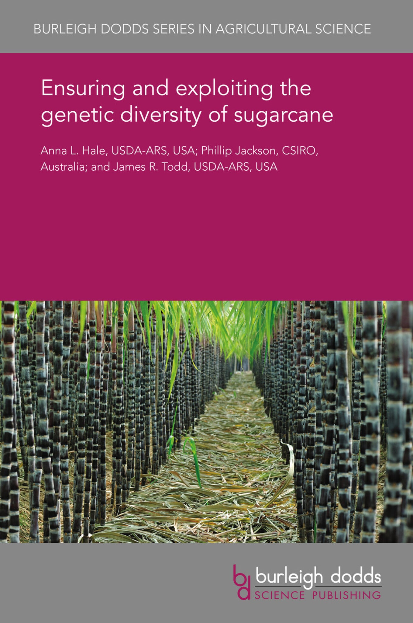 Ensuring and exploiting the genetic diversity of sugarcane
