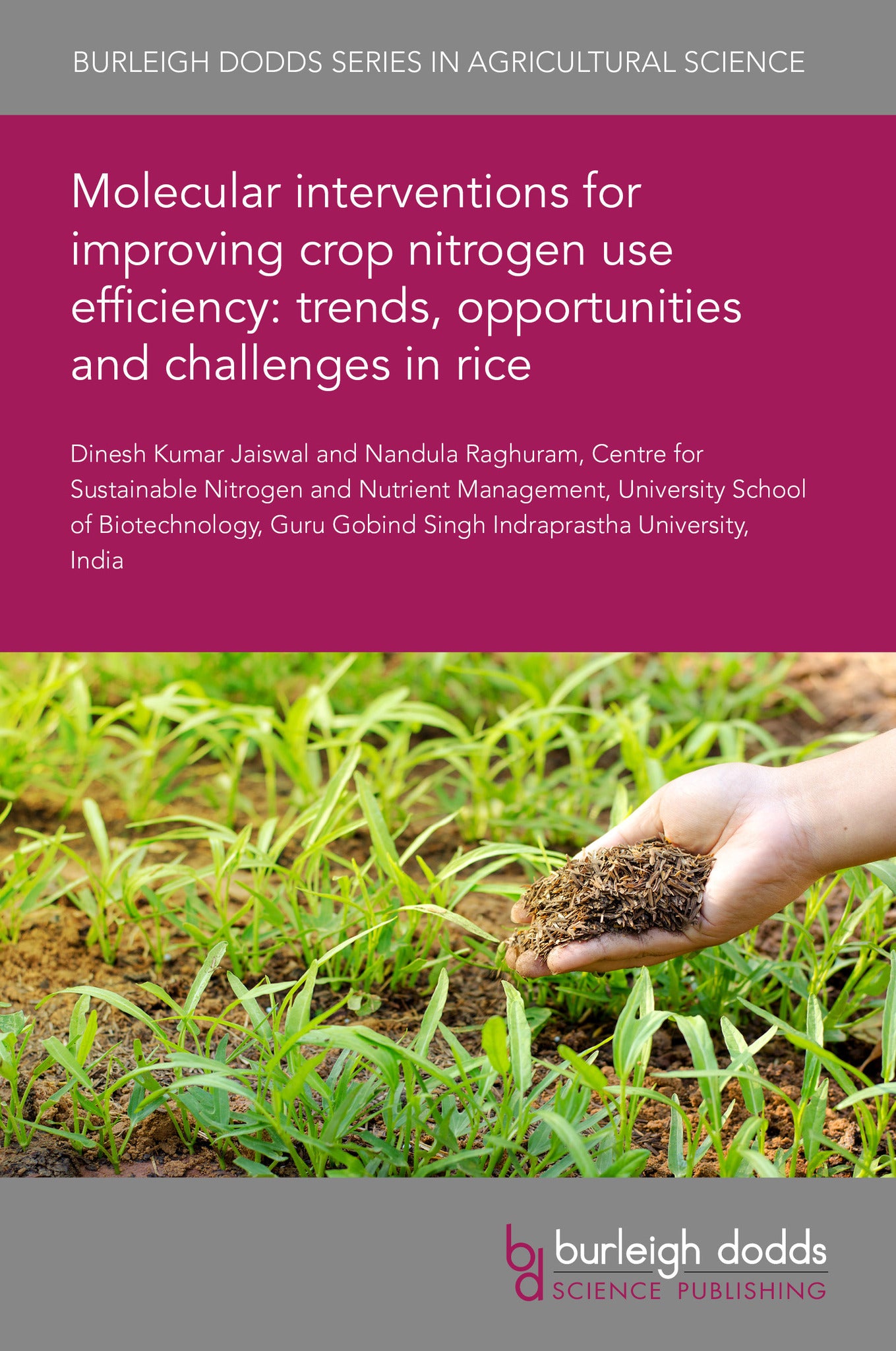 Molecular interventions for improving crop nitrogen use efficiency: trends, opportunities and challenges in rice