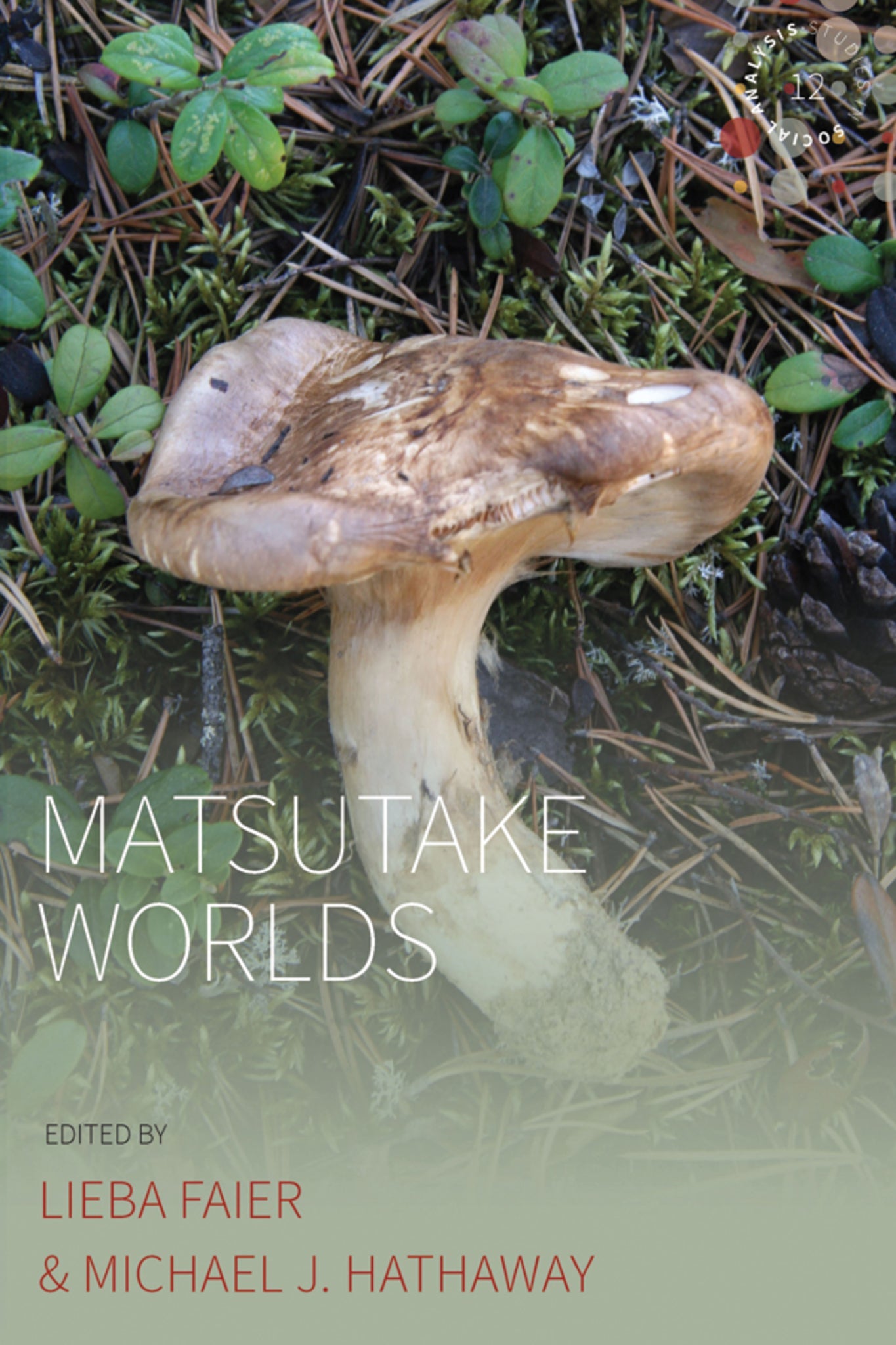 Cover image for Matsutake Worlds ISBN 9781800730960