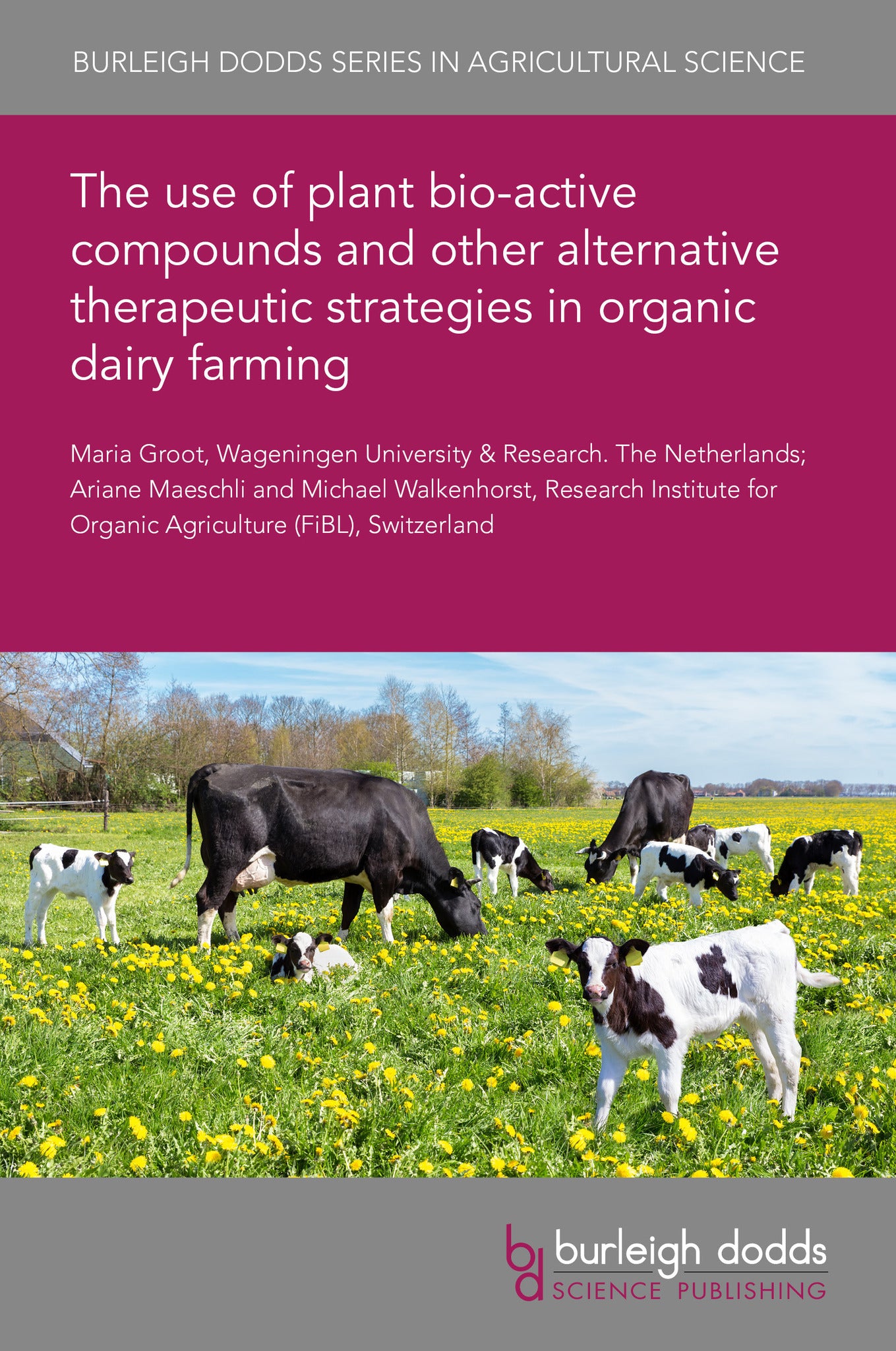 The use of plant bio-active compounds and other alternative therapeutic strategies in organic dairy farming
