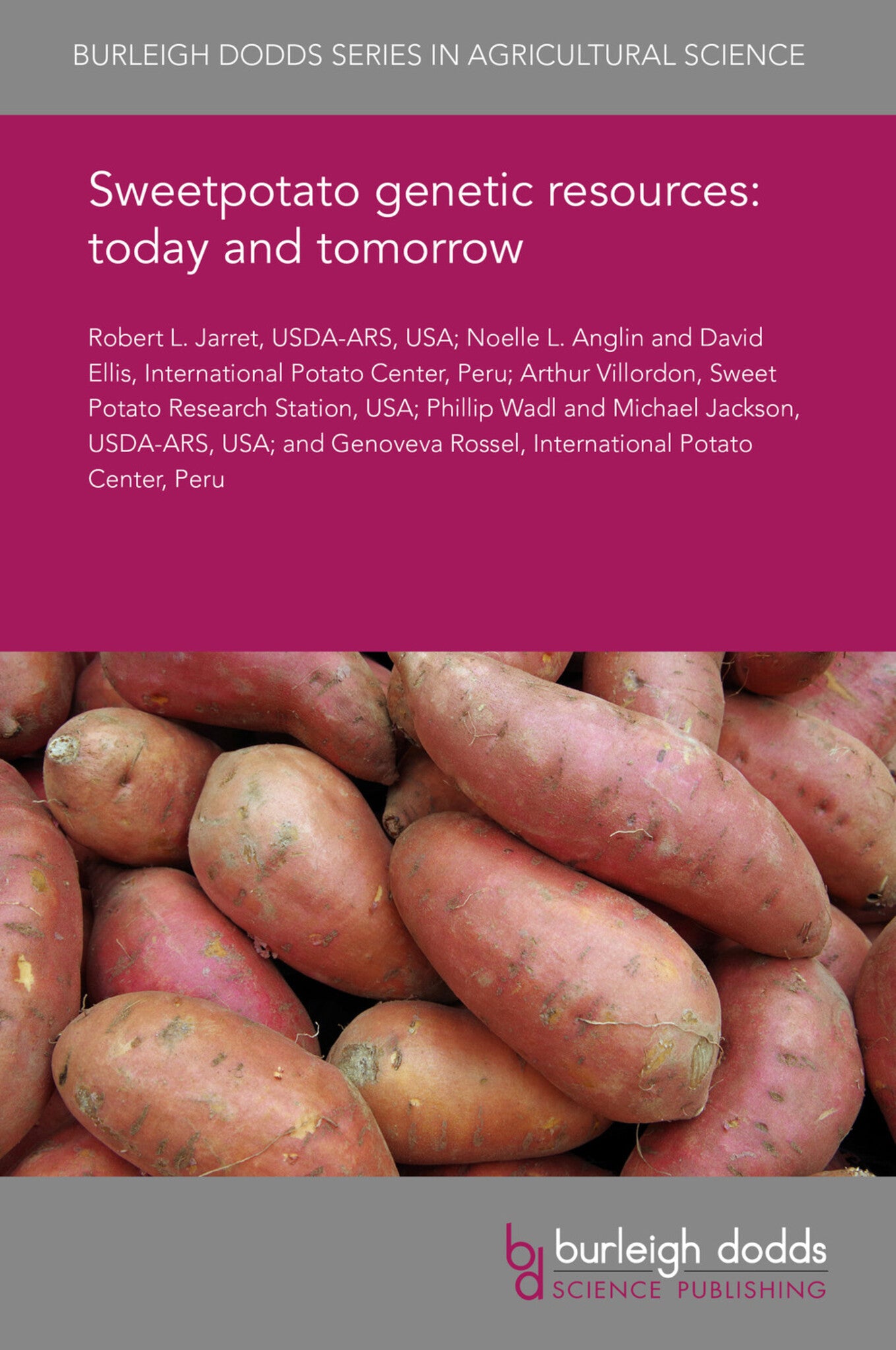 Sweetpotato genetic resources: today and tomorrow