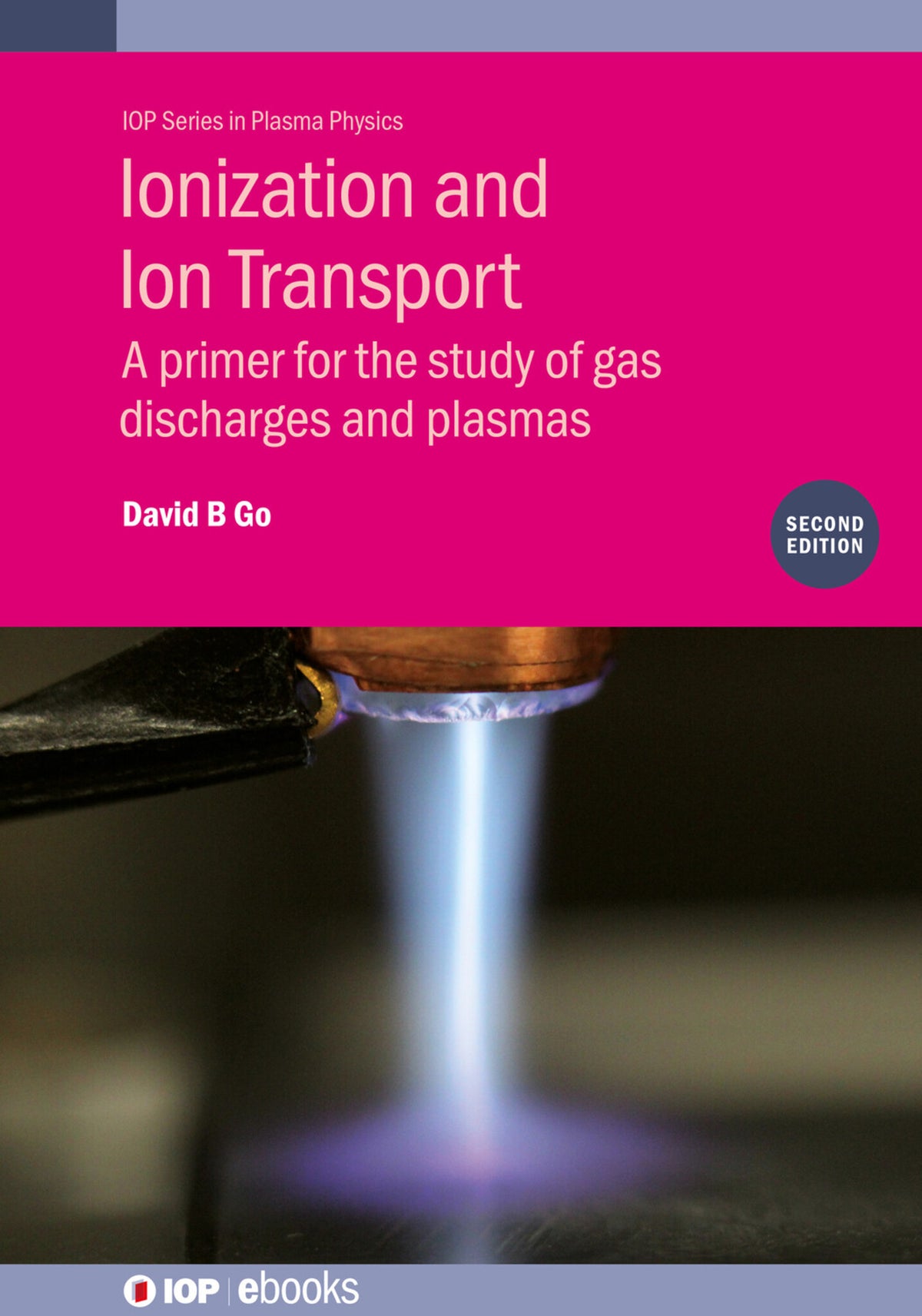 Cover image for Ionization and Ion Transport (Second Edition) ISBN 9780750339896