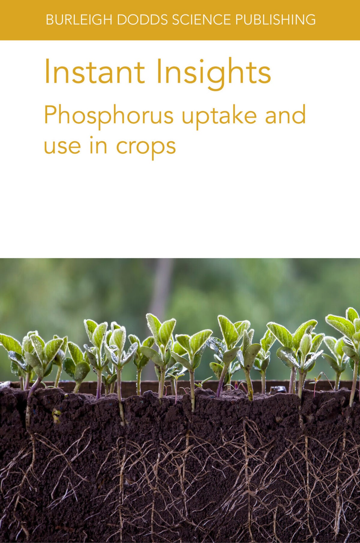 Cover image for Instant Insights: Phosphorus uptake and use in crops ISBN 9781801466080