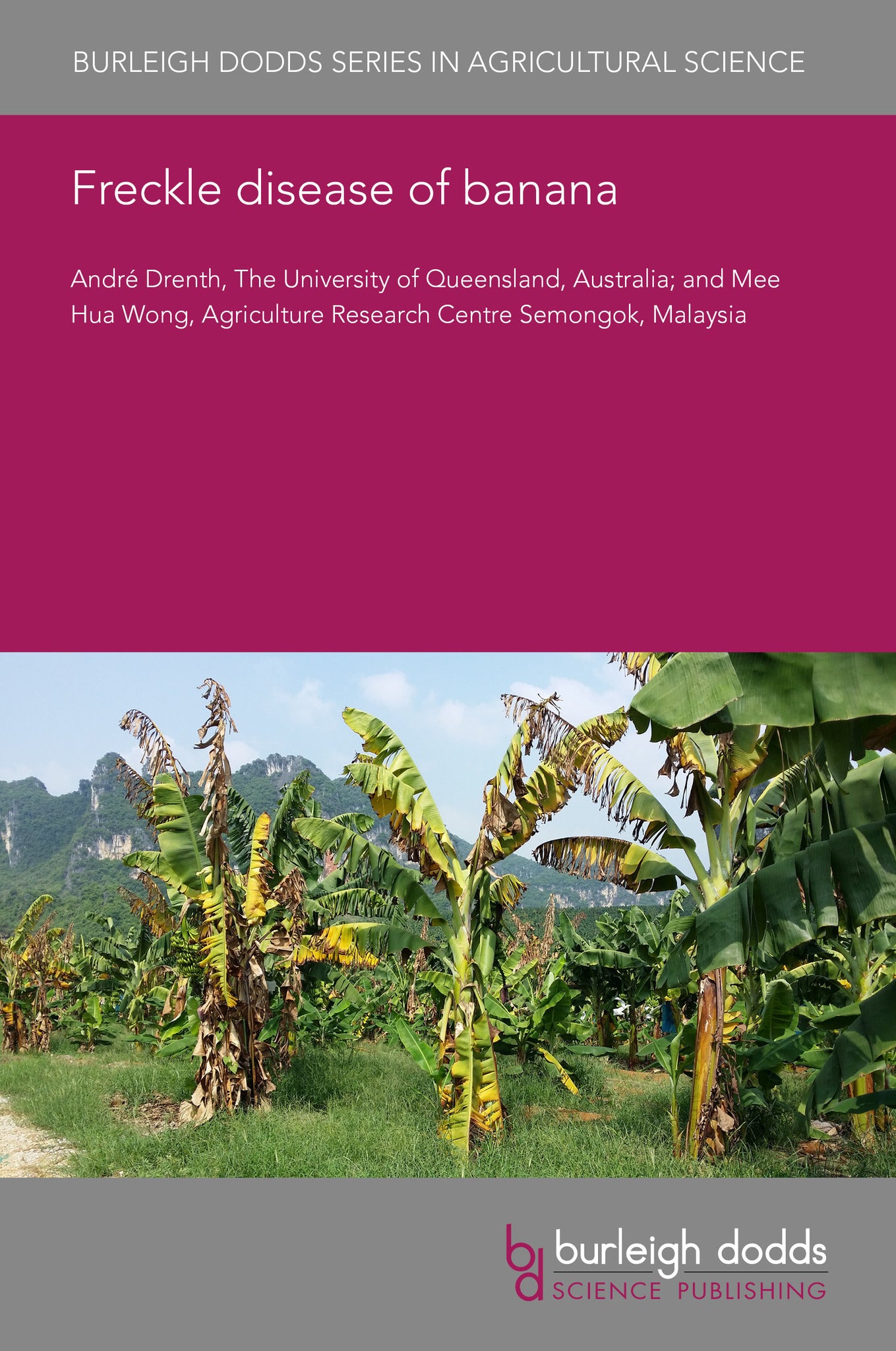 Freckle disease of banana