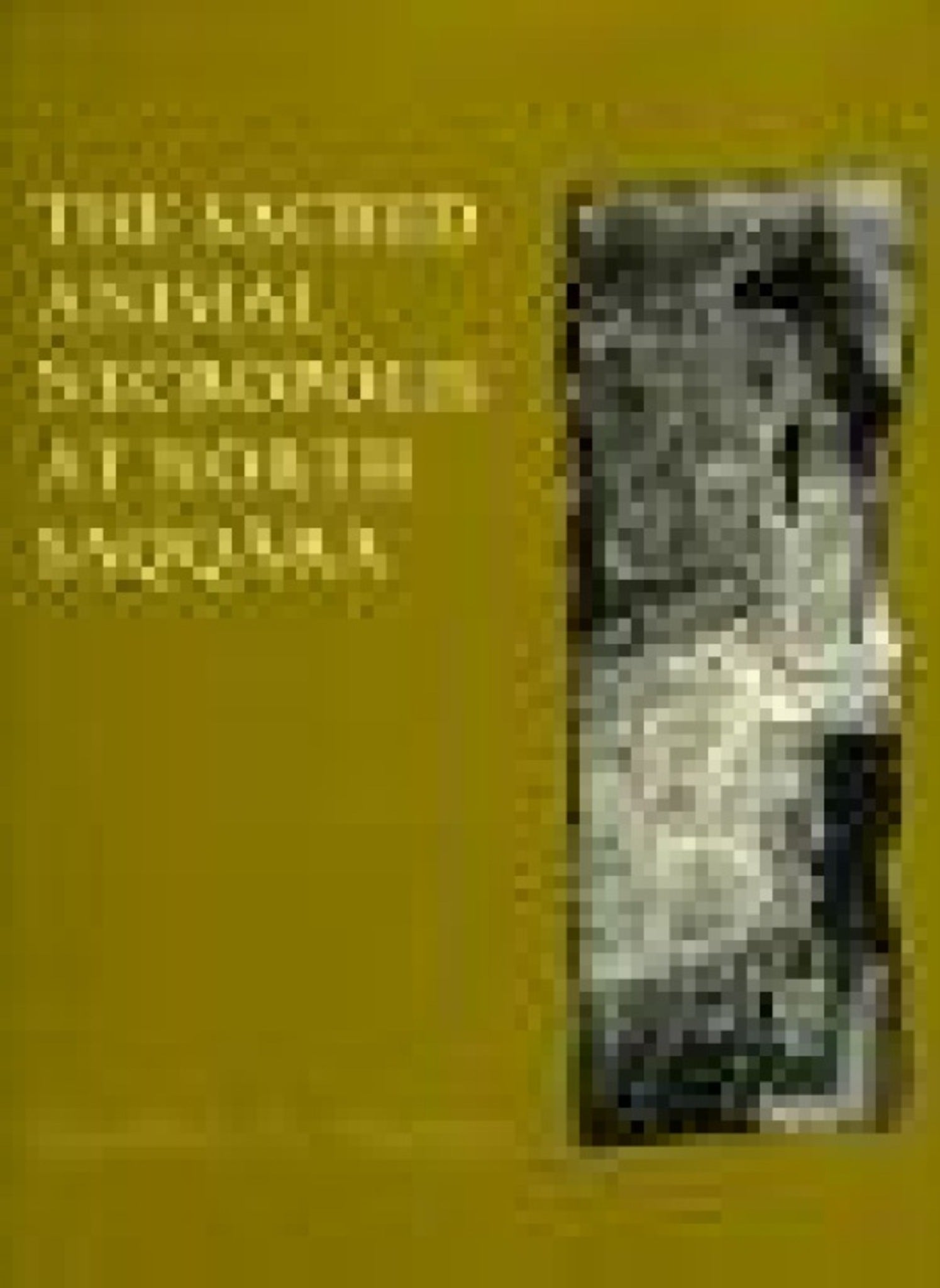 Cover image for The Sacred Animal Necropolis at North Saqqara ISBN 9780856980770