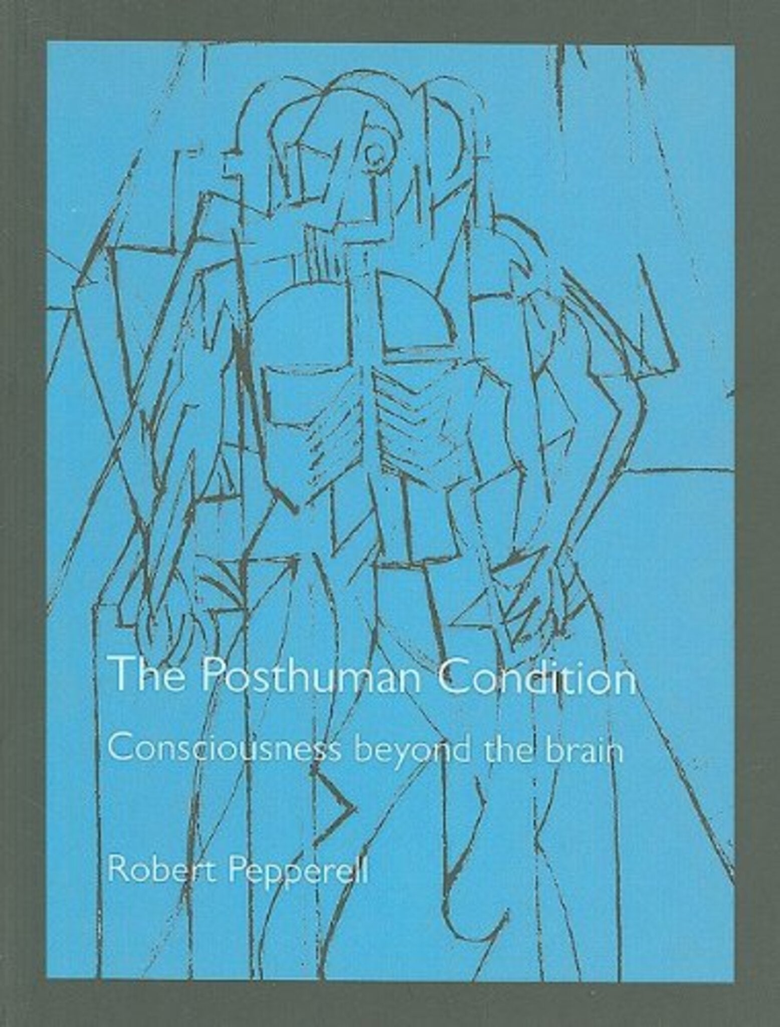 Cover image for The Posthuman Condition ISBN 9781841508832