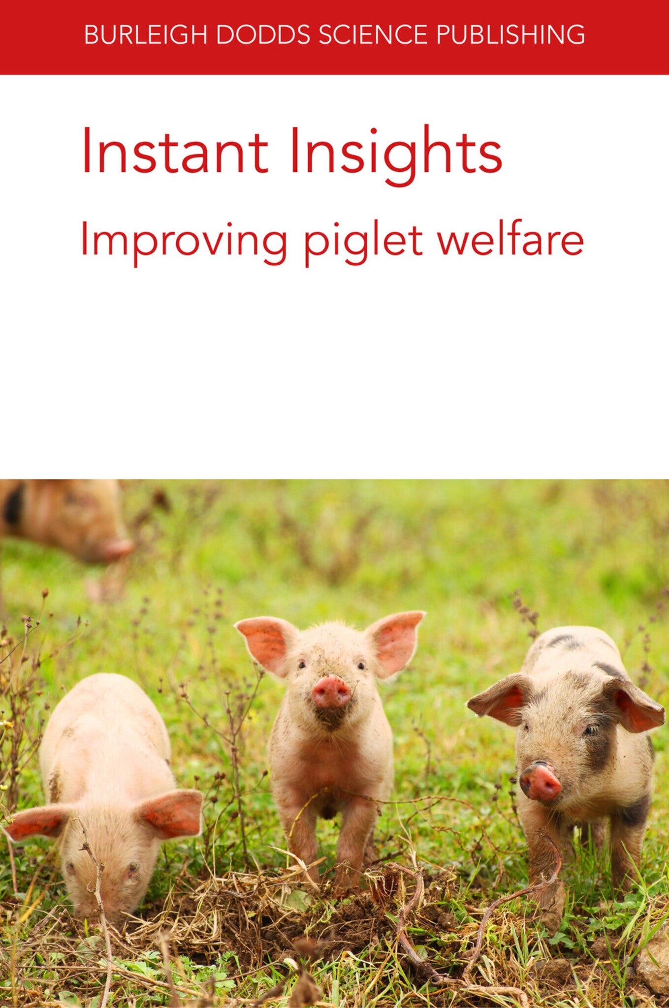Instant Insights: Improving piglet welfare
