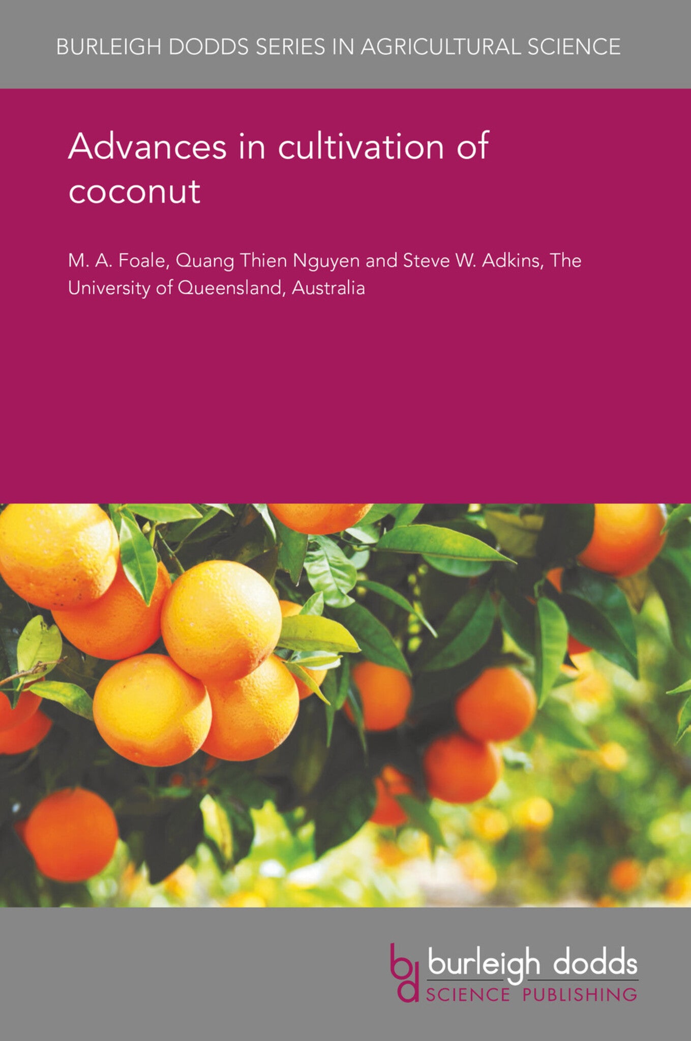 Advances in cultivation of coconut
