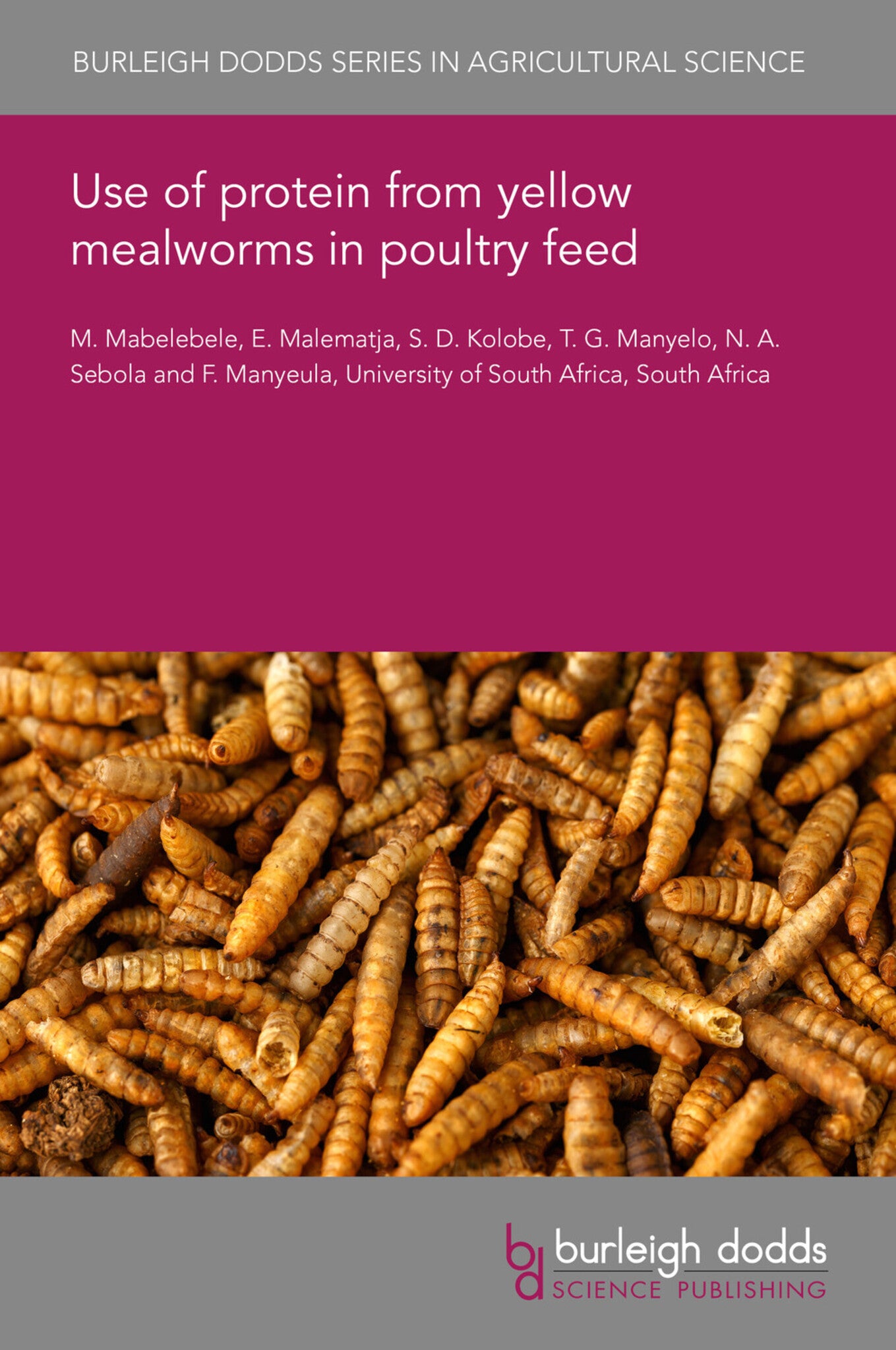 Use of protein from yellow mealworms in poultry feed