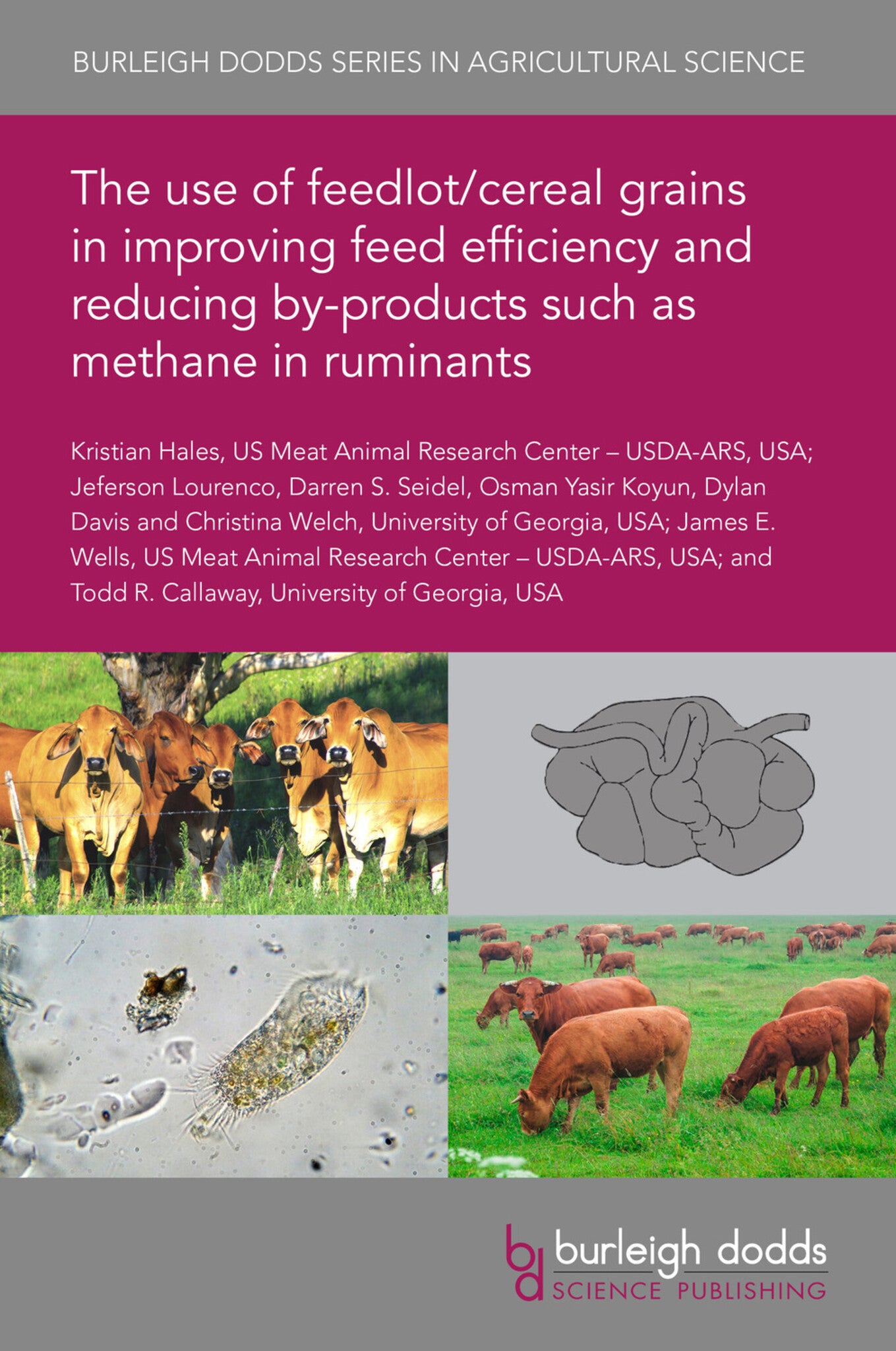 The use of feedlot/cereal grains in improving feed efficiency and reducing by-products such as methane in ruminants