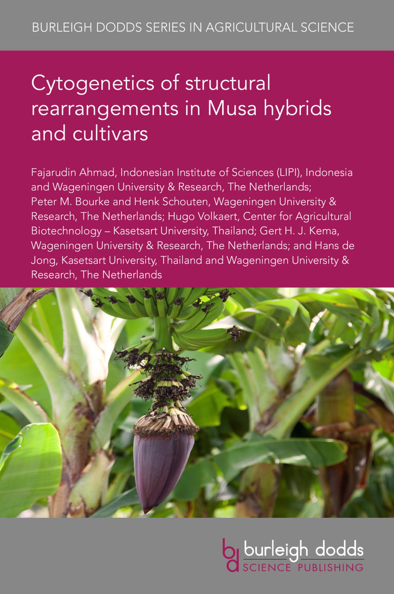 Cytogenetics of structural rearrangements in Musa hybrids and cultivars