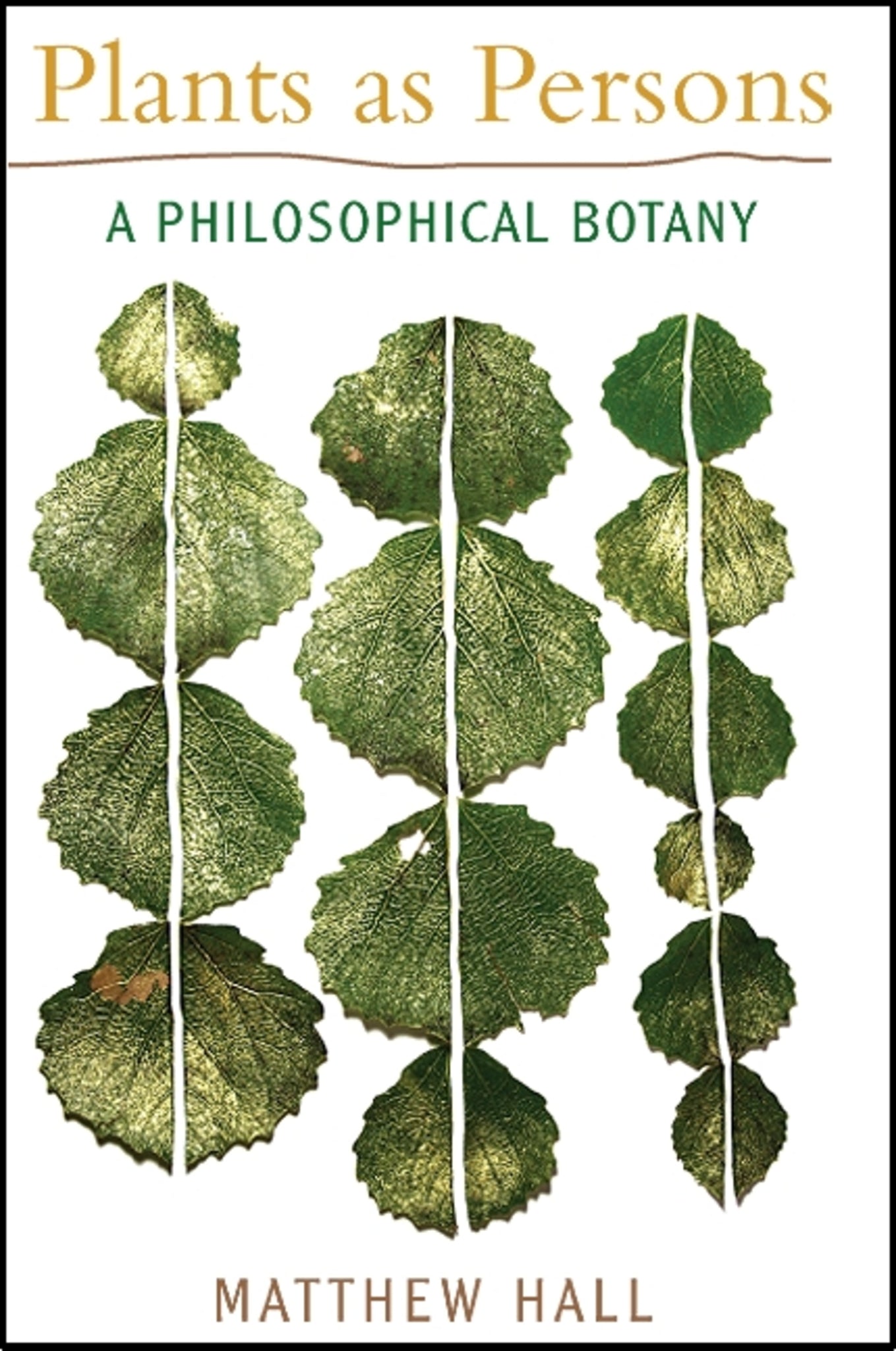 Plants as Persons