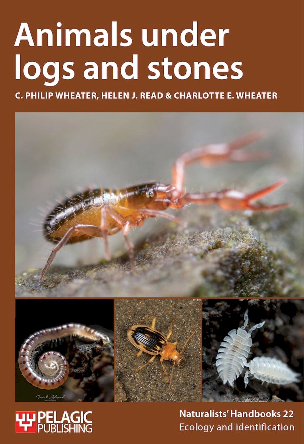 Cover image for Animals under logs and stones ISBN 9781784274177
