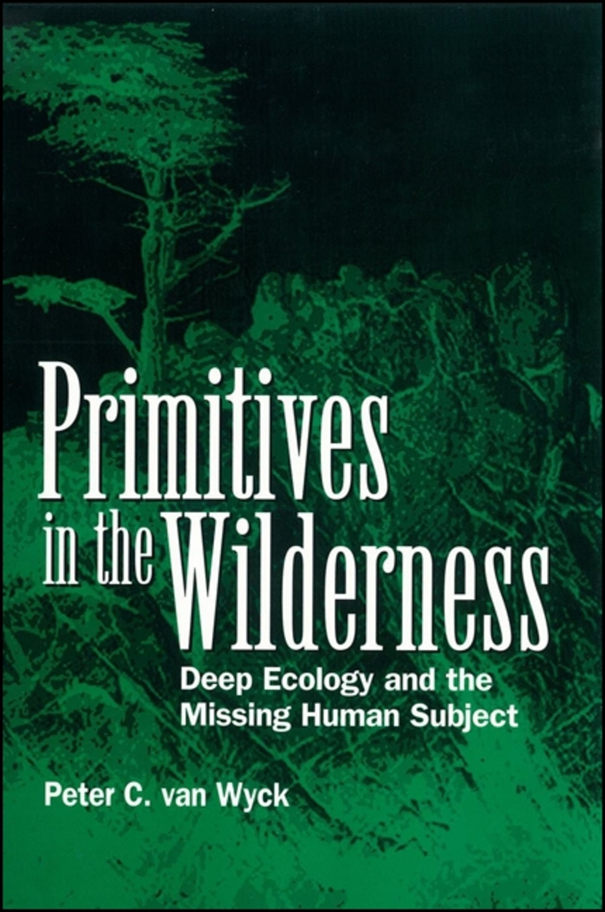 Cover image for Primitives in the Wilderness ISBN 9780791434338