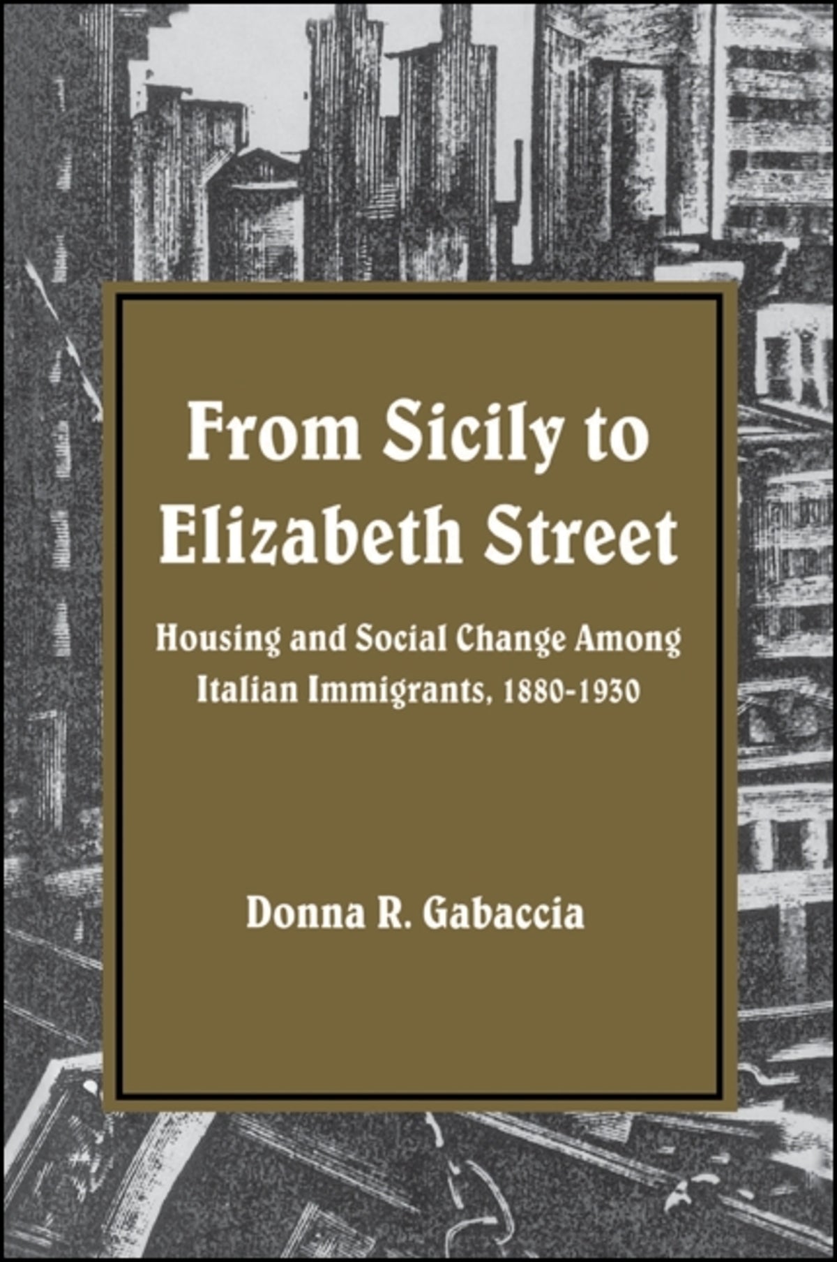 Cover image for From Sicily to Elizabeth Street ISBN 9780873957694