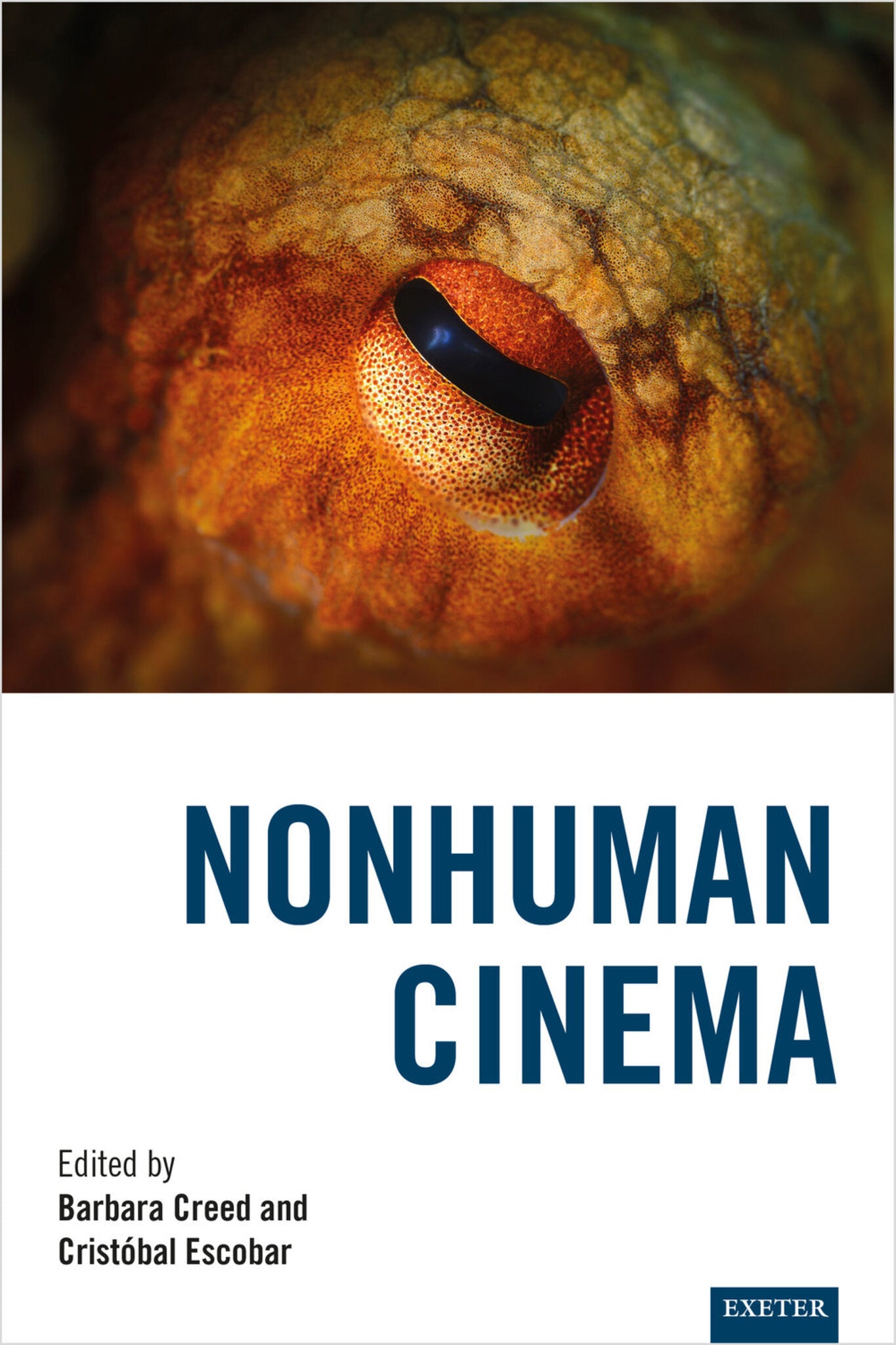 Nonhuman Cinema