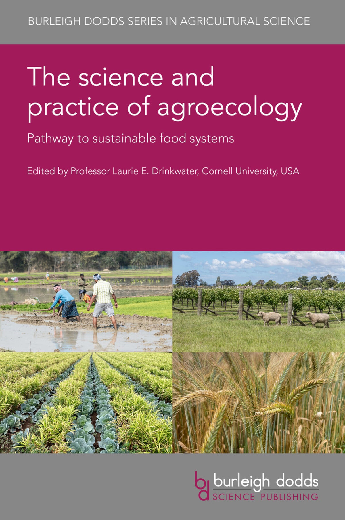 Cover image for The science and practice of agroecology ISBN 9781801469012