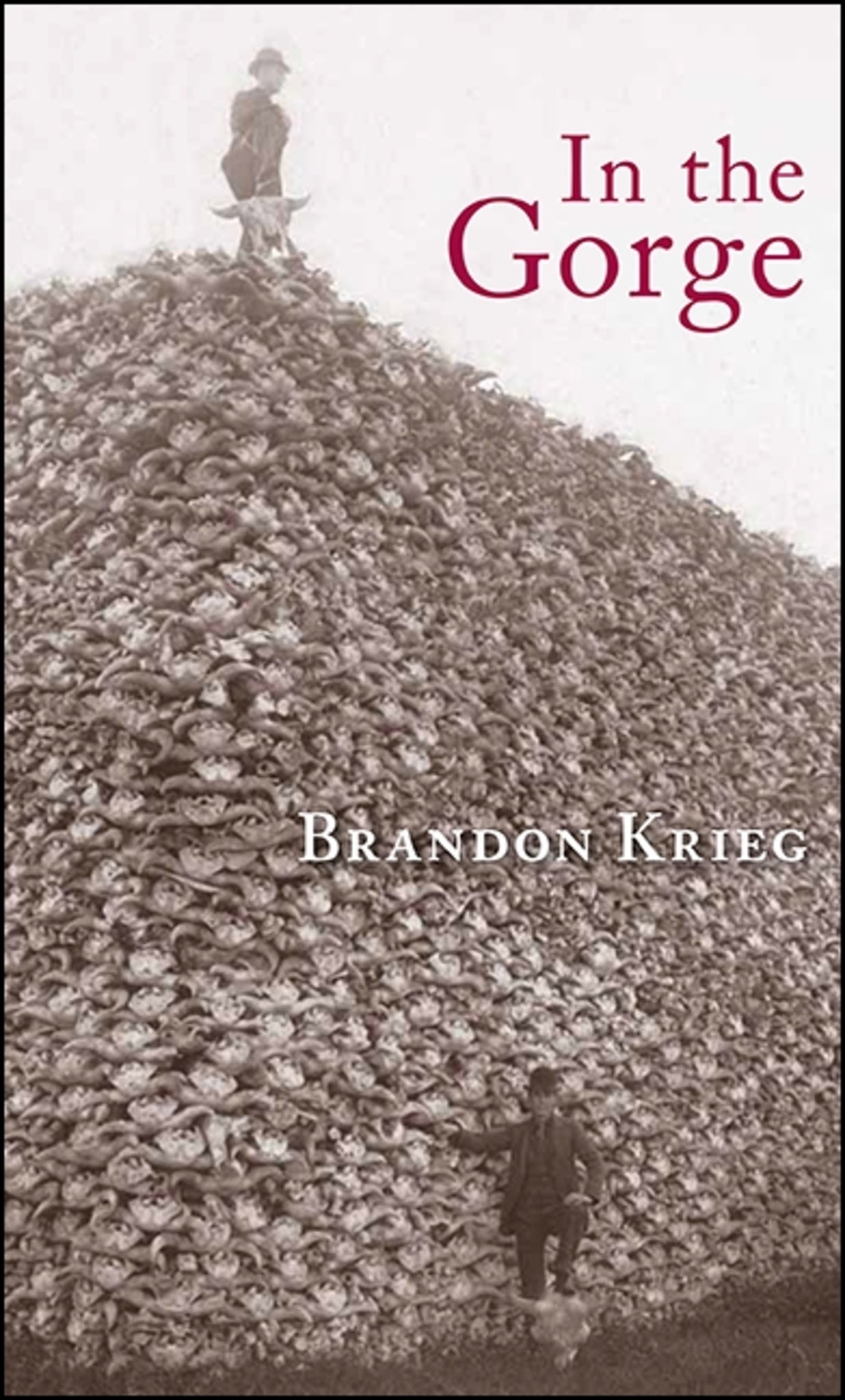 Cover image for In the Gorge ISBN 9781930337930