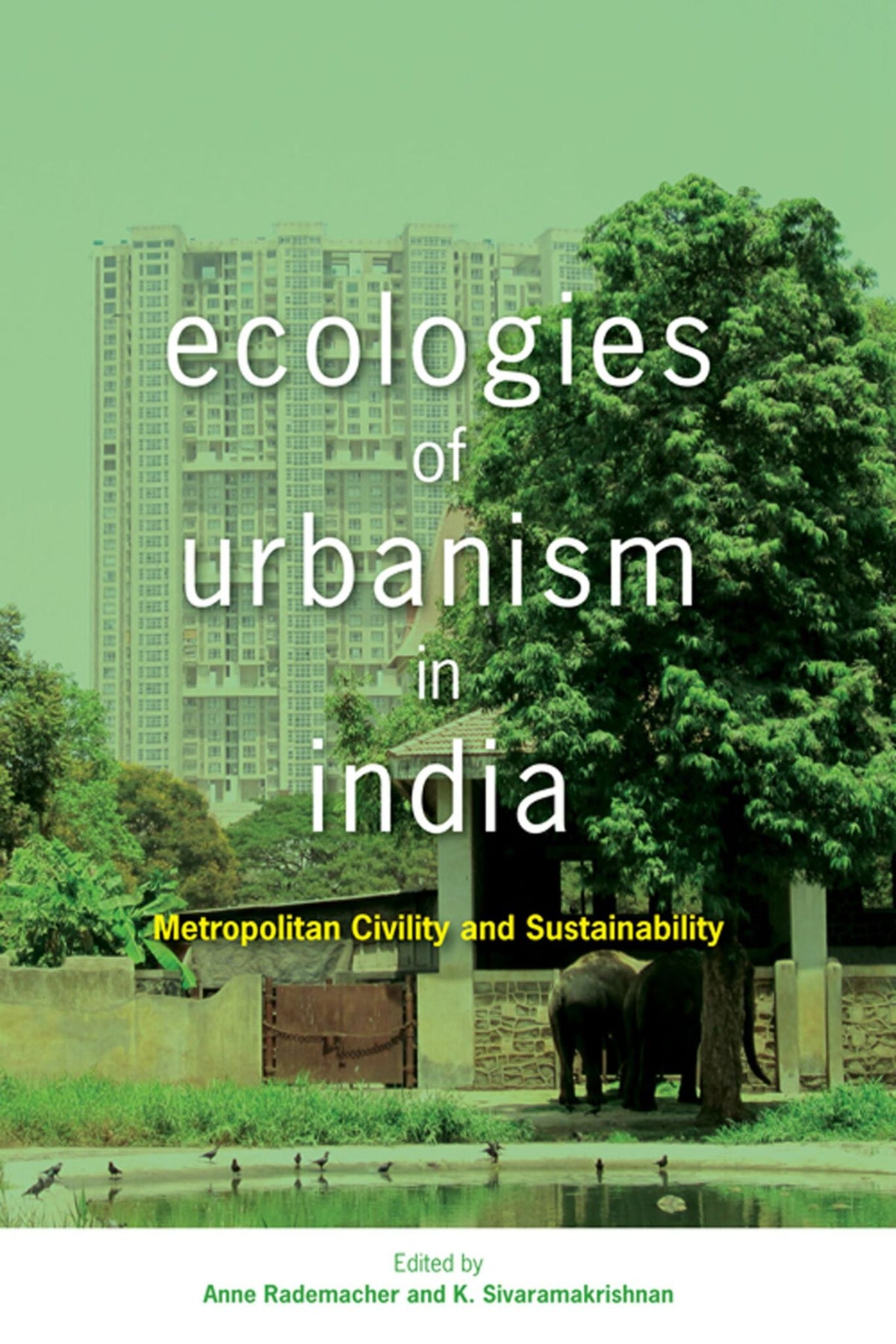 Cover image for Ecologies of Urbanism in India ISBN 9789888139767