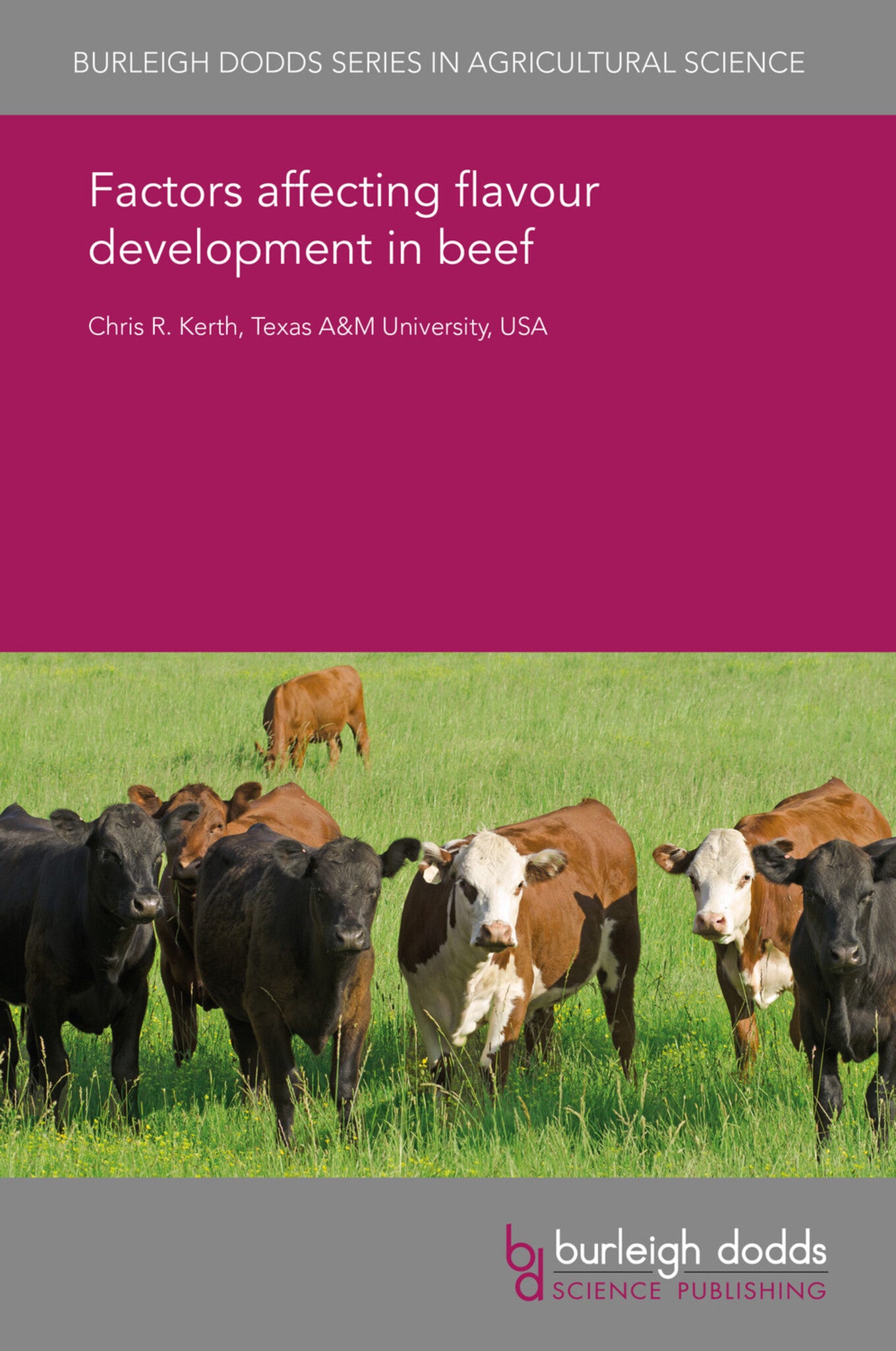 Factors affecting flavour development in beef