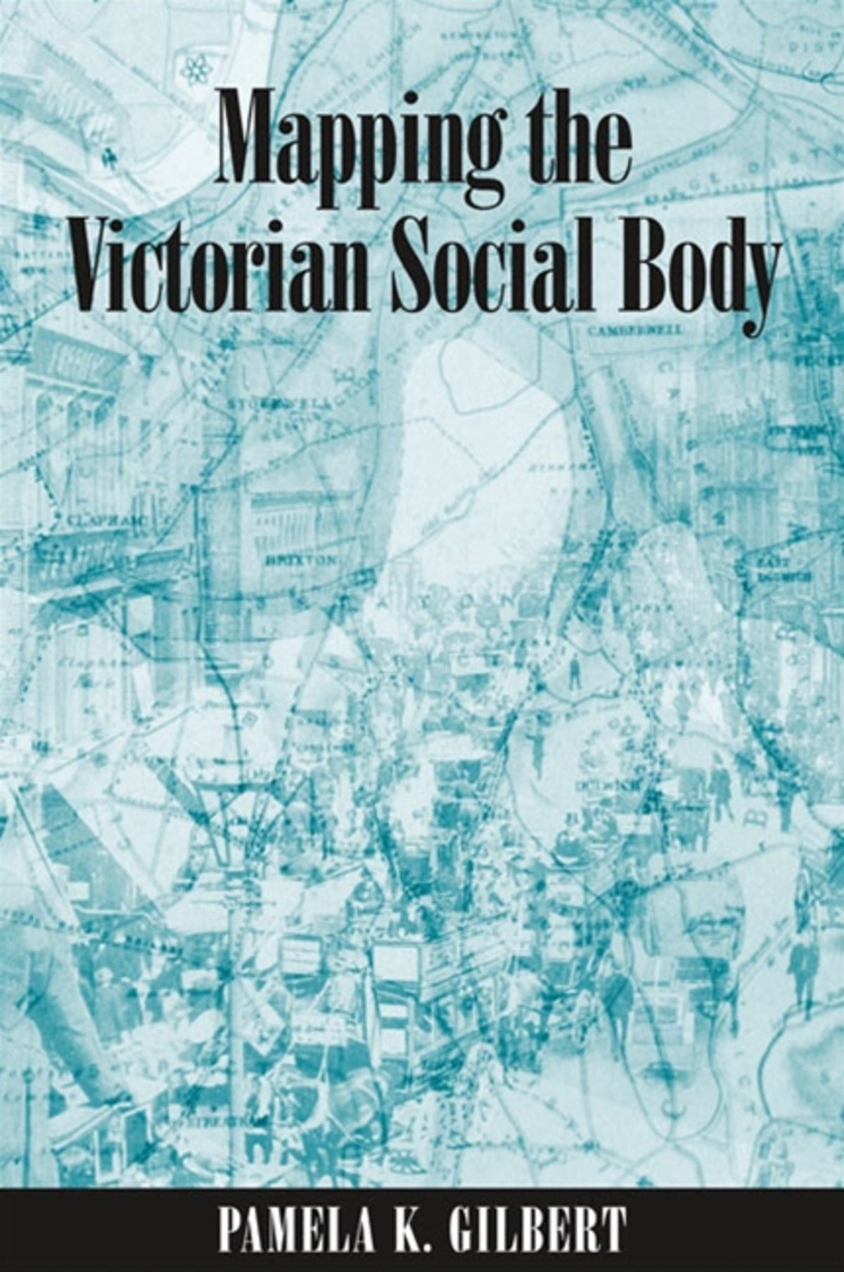 Cover image for Mapping the Victorian Social Body ISBN 9780791485330