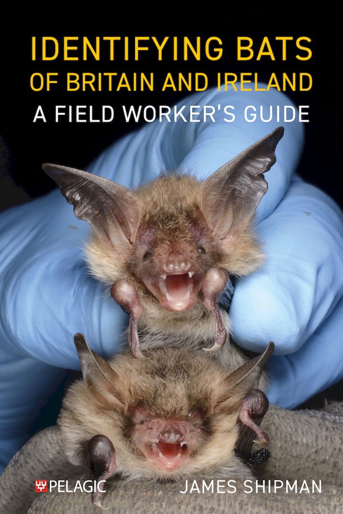 Cover image for Identifying Bats of Britain and Ireland ISBN 9781784274931