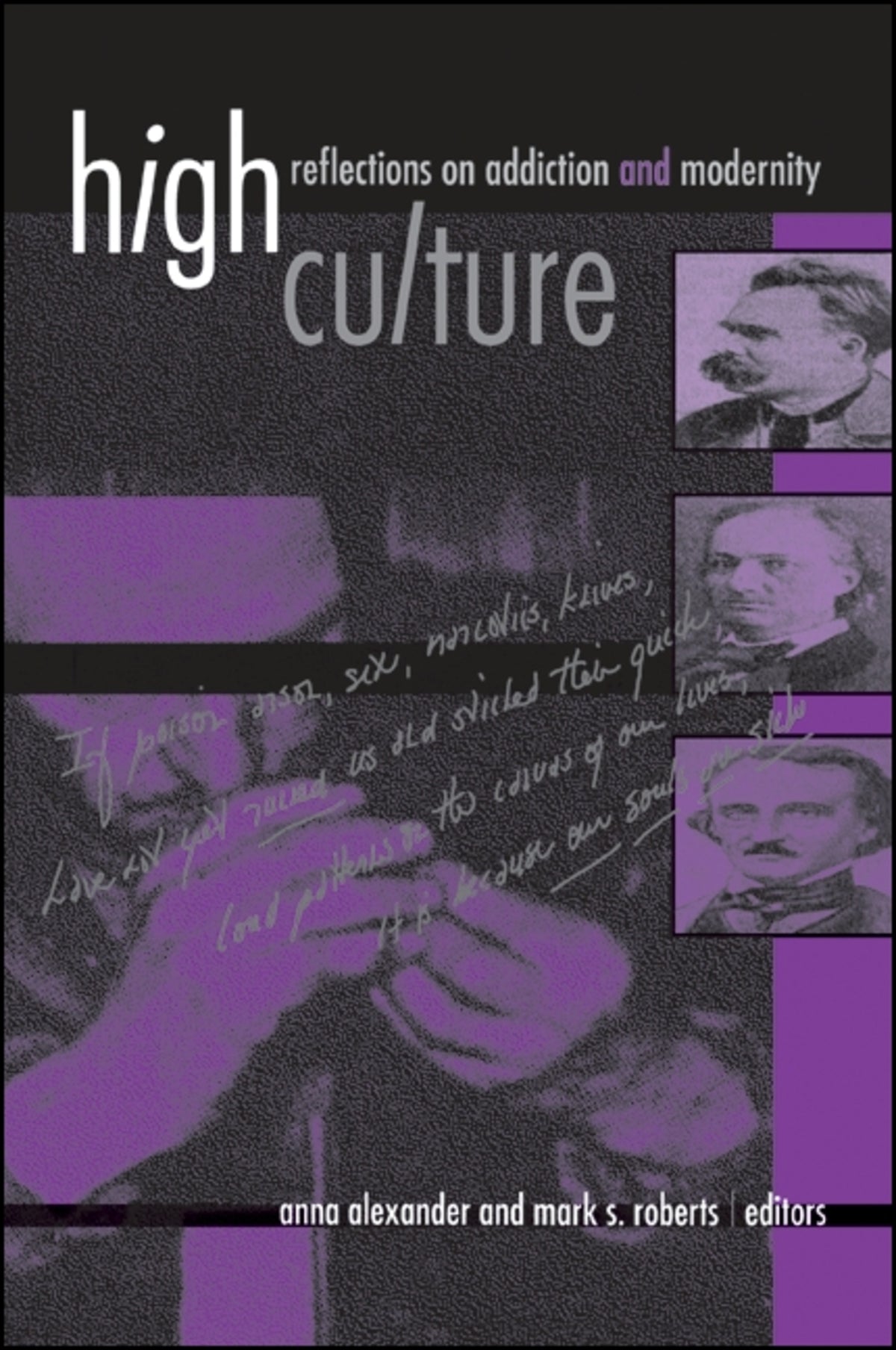 Cover image for High Culture ISBN 9780791455548