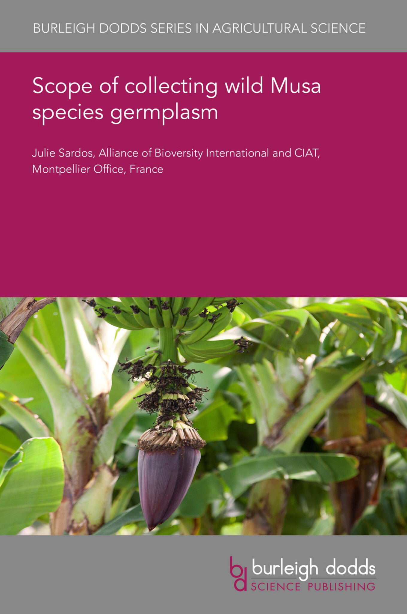 Scope of collecting wild Musa species germplasm