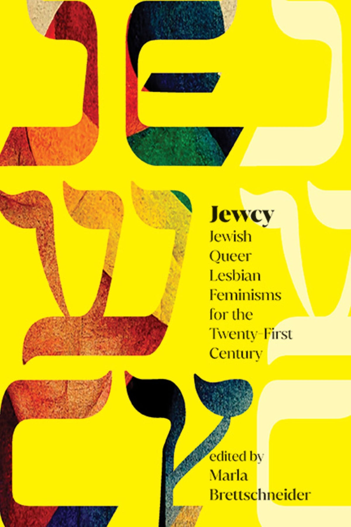 Cover image for Jewcy ISBN 9781438496269