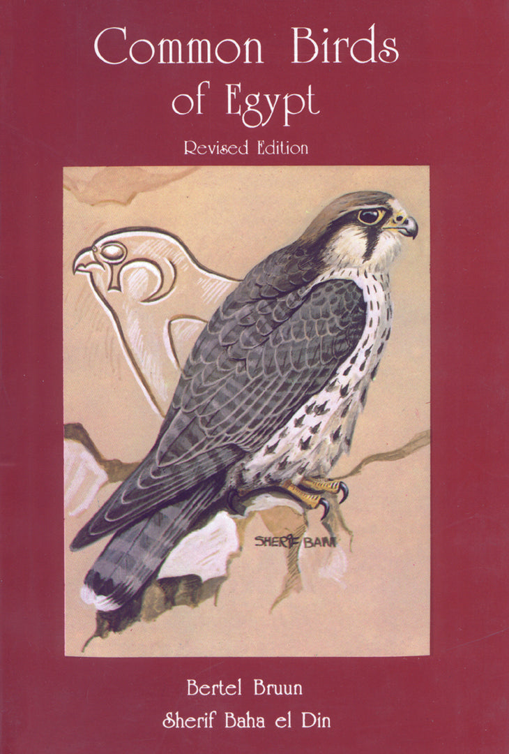 Cover image for Common Birds of Egypt ISBN 9789774242397