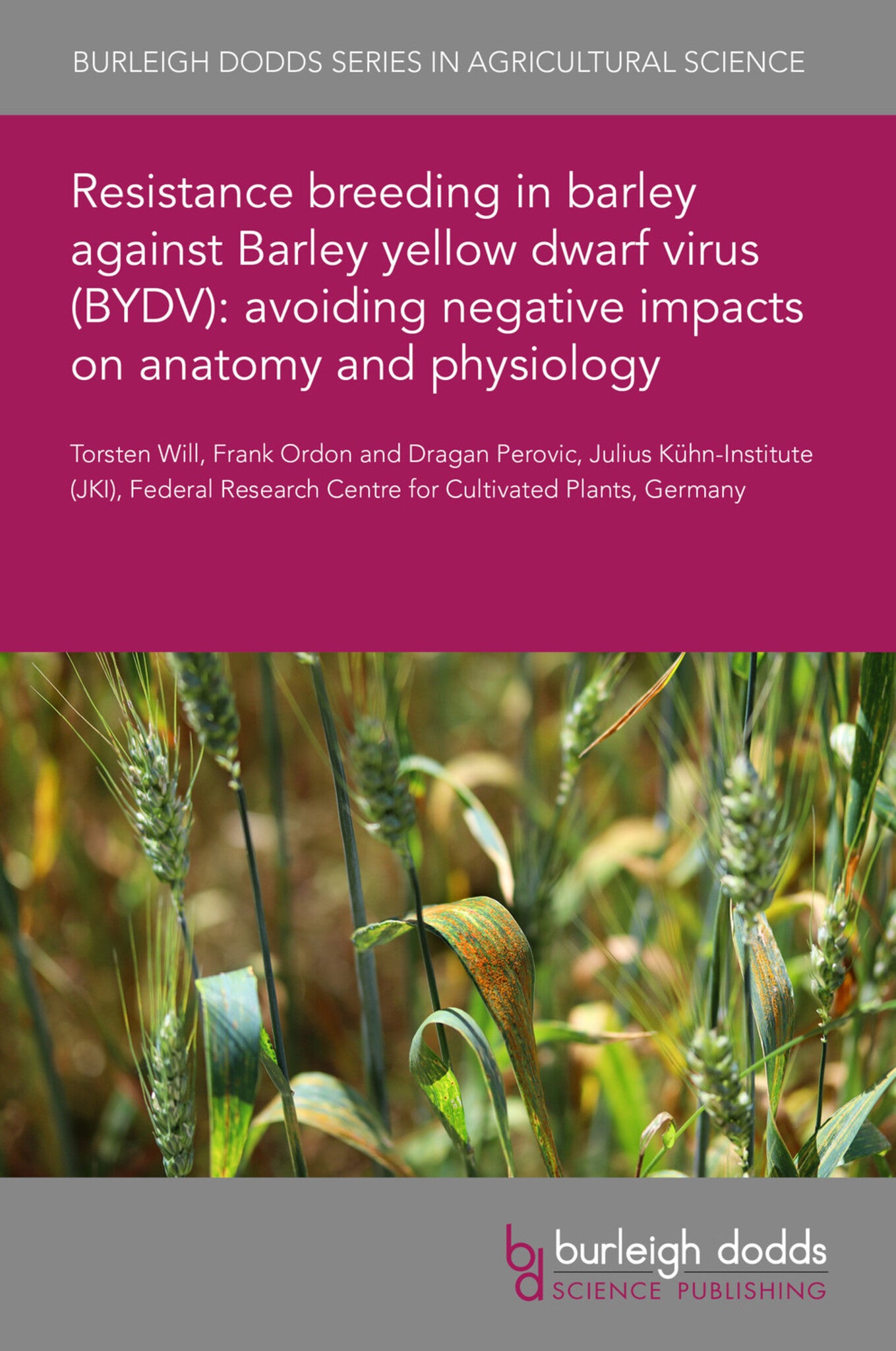 Resistance breeding in barley against Barley yellow dwarf virus (BYDV): avoiding negative impacts on anatomy and physiology