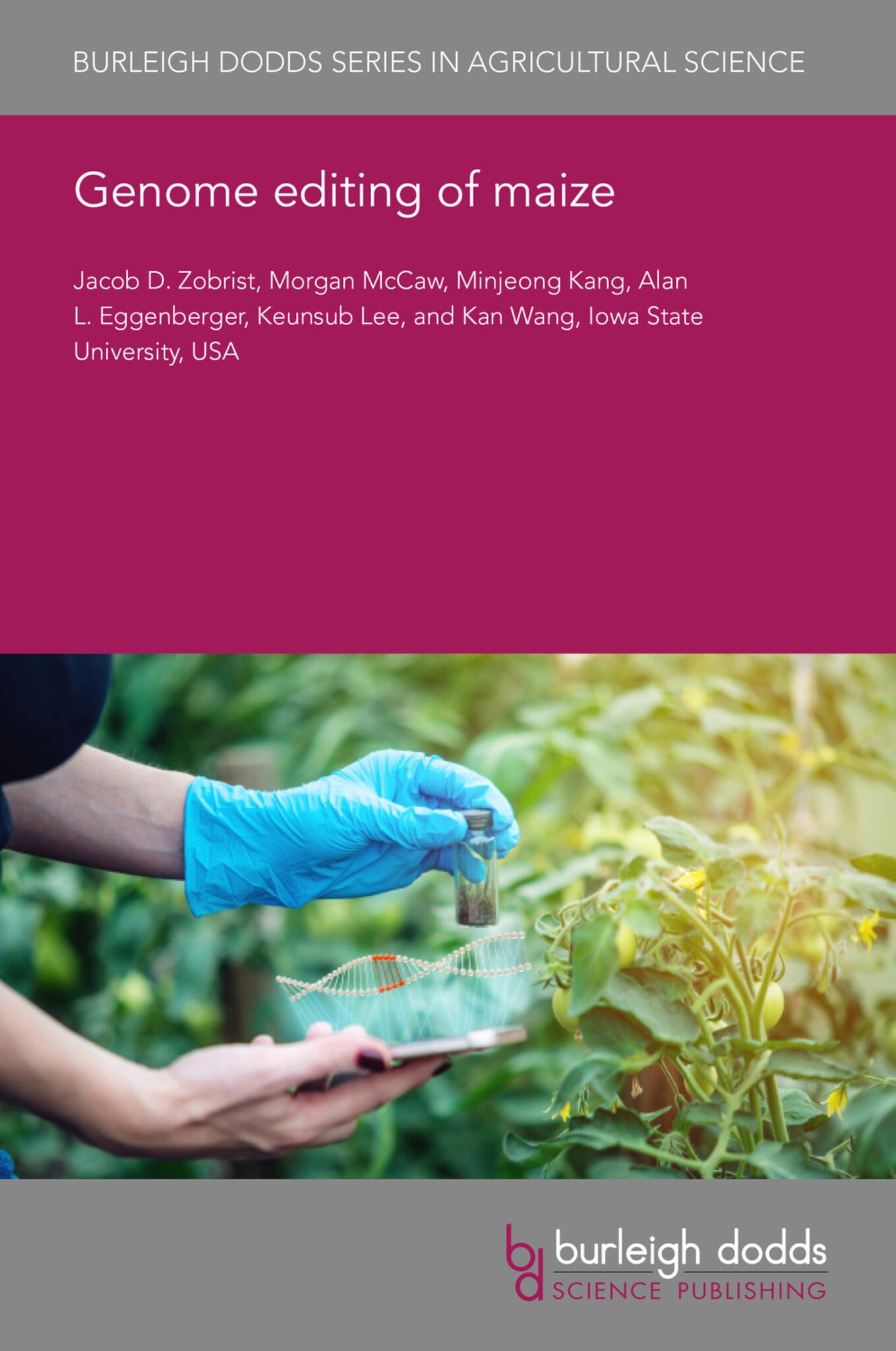 Genome editing of maize